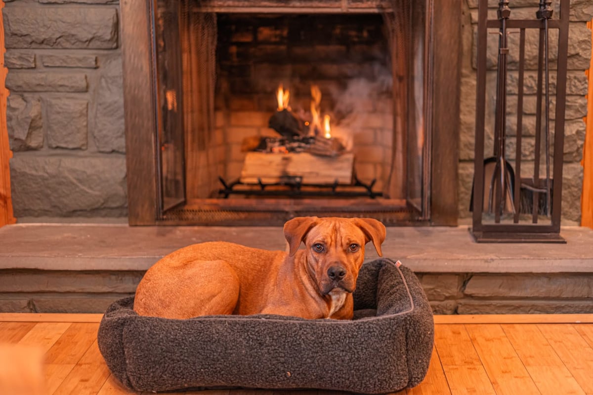 A cozy dog bed is placed in front of a stone fireplace, with a fire burning brightly inside. The warm glow of the flames illuminates the surroundings, creating a comfortable atmosphere.