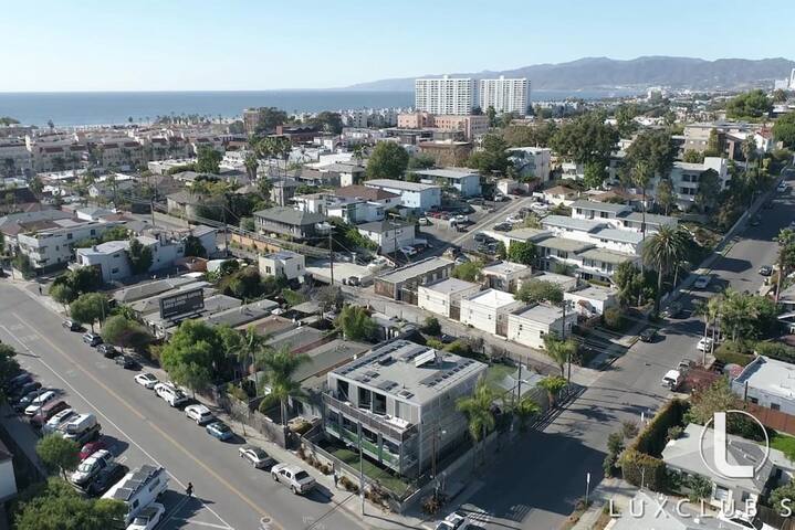 Venice CA “The Steel Rose” Flat gallery image 2