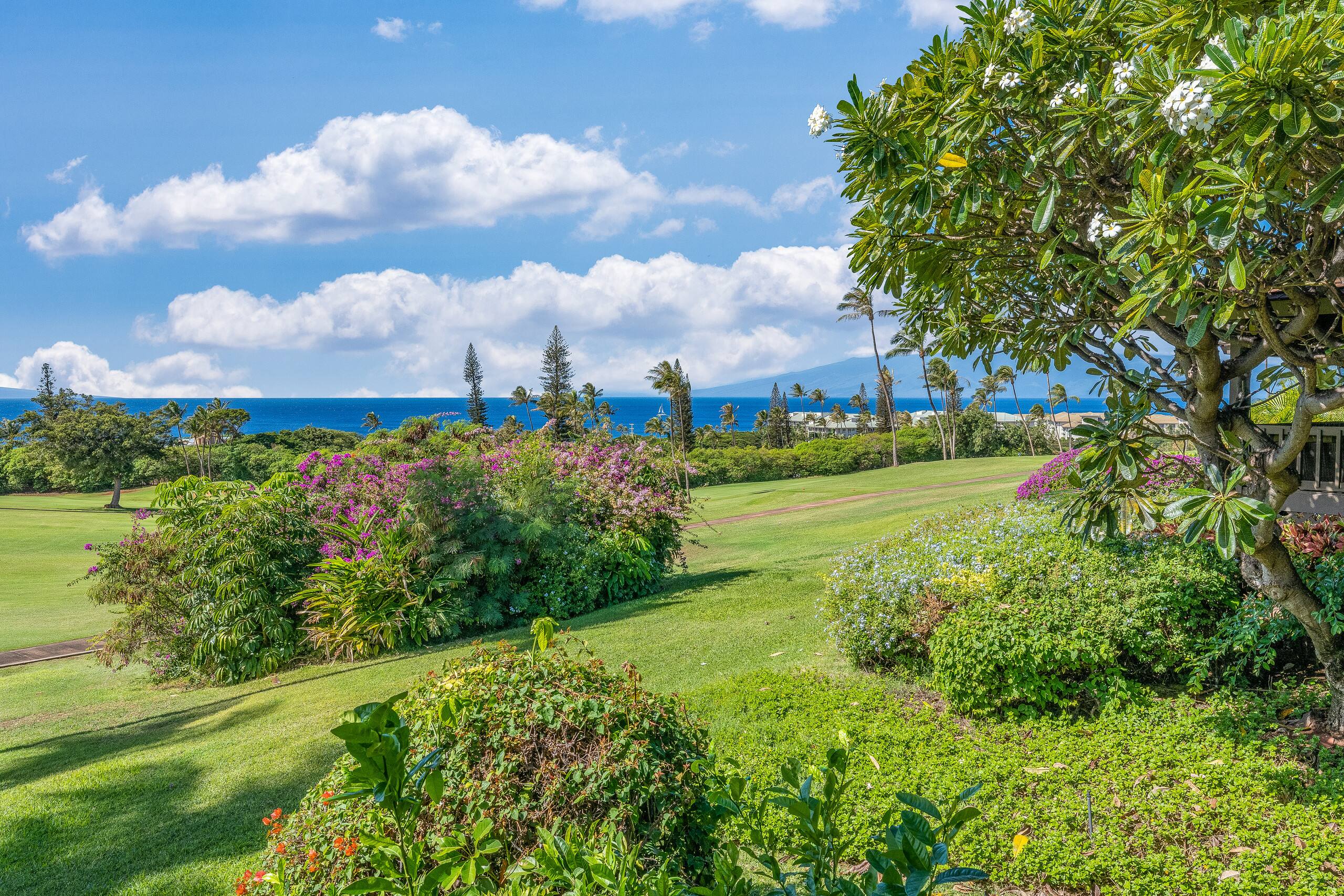Condo in Lahaina · ★4.95 · 3 bedrooms · 3 beds · 3 baths - Image 31