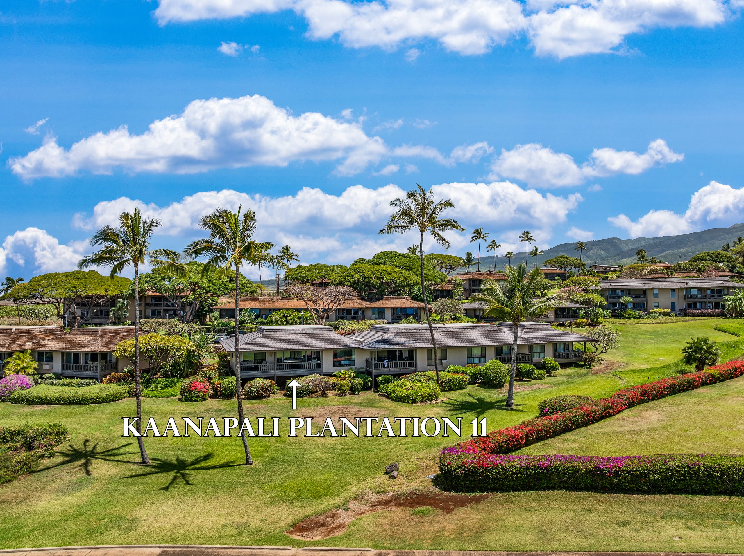 Condo in Lahaina · ★4.95 · 3 bedrooms · 3 beds · 3 baths - Image 43
