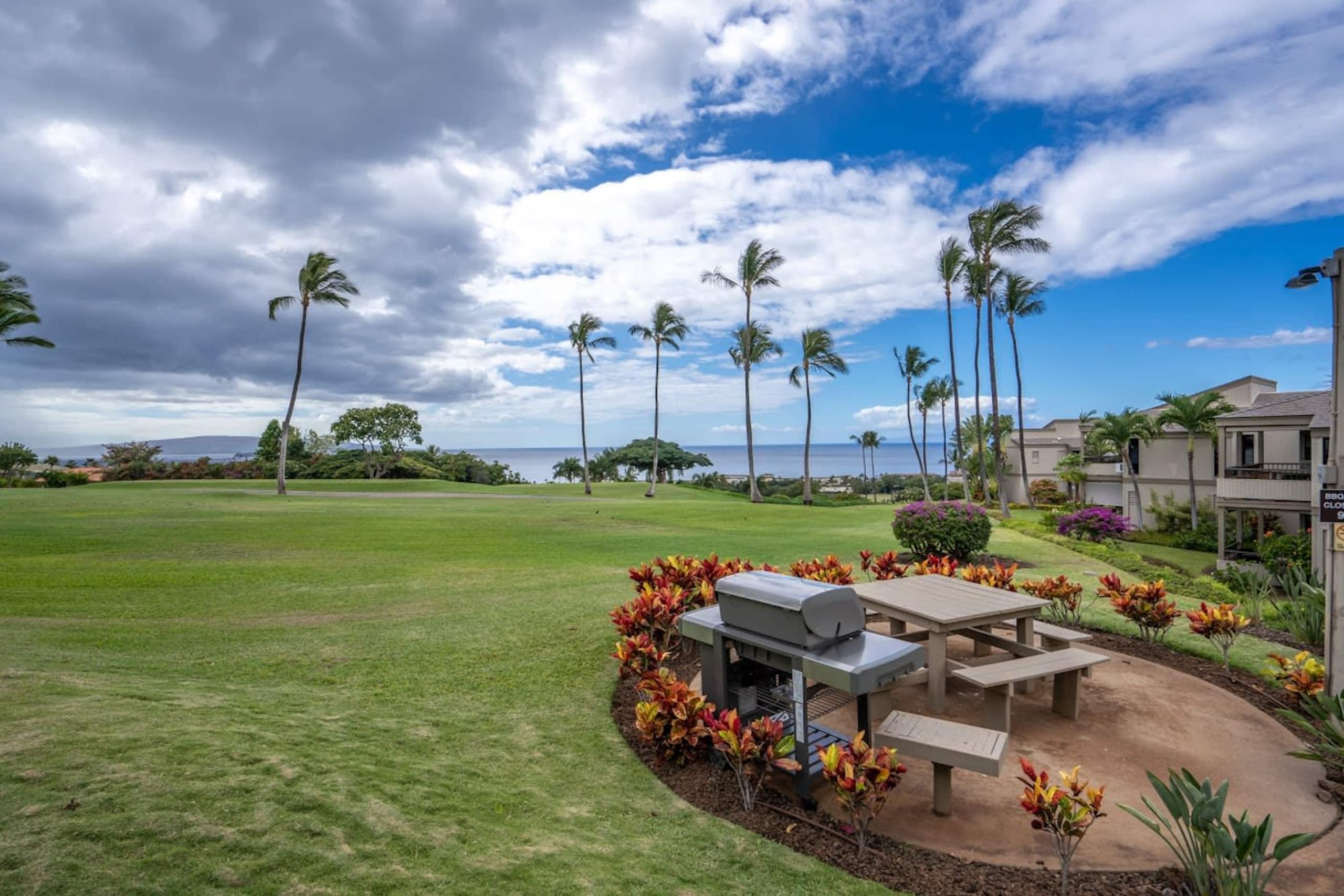 Luxurious Wailea Ocean Vistas - Image 38