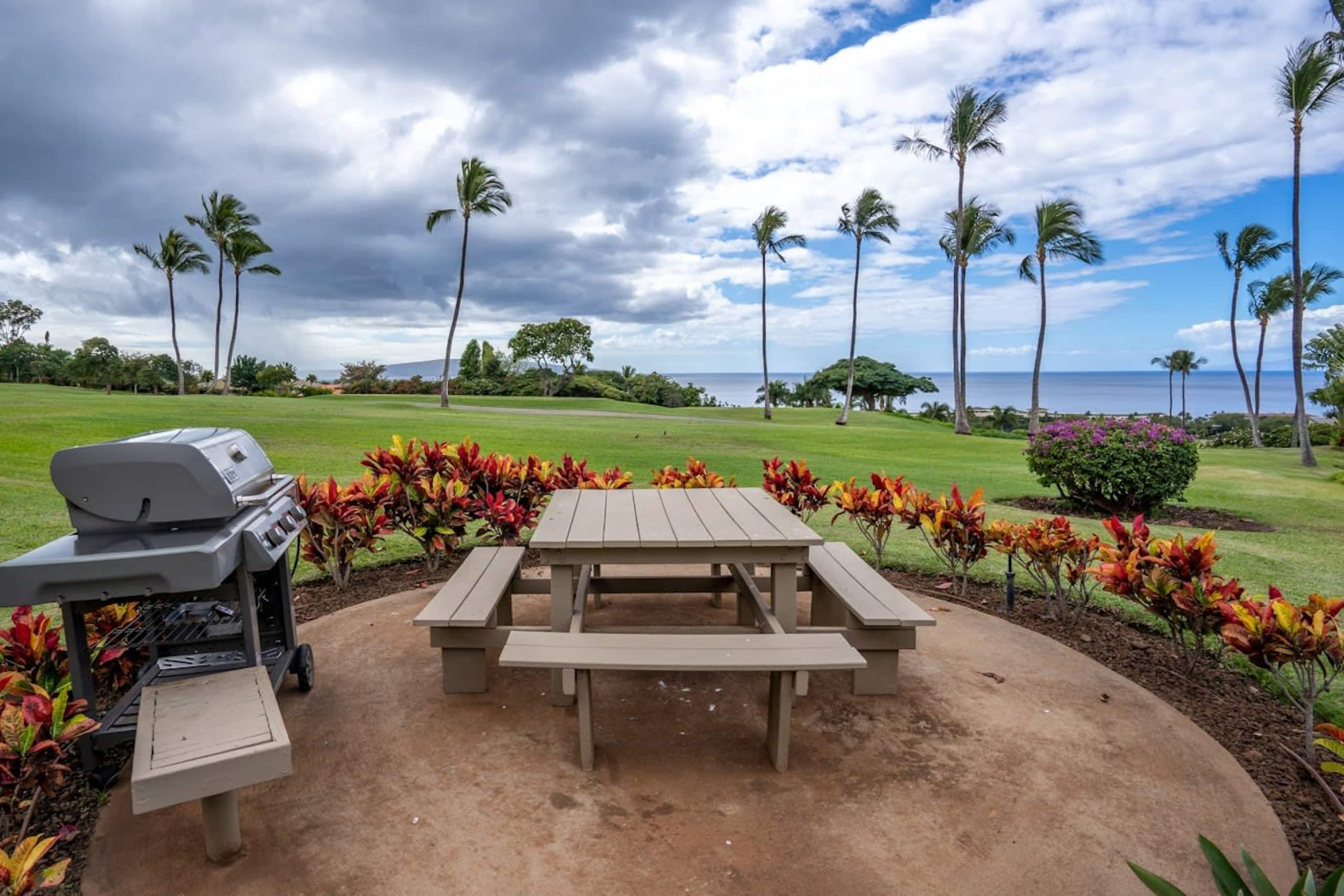 Luxurious Wailea Ocean Vistas - Image 37