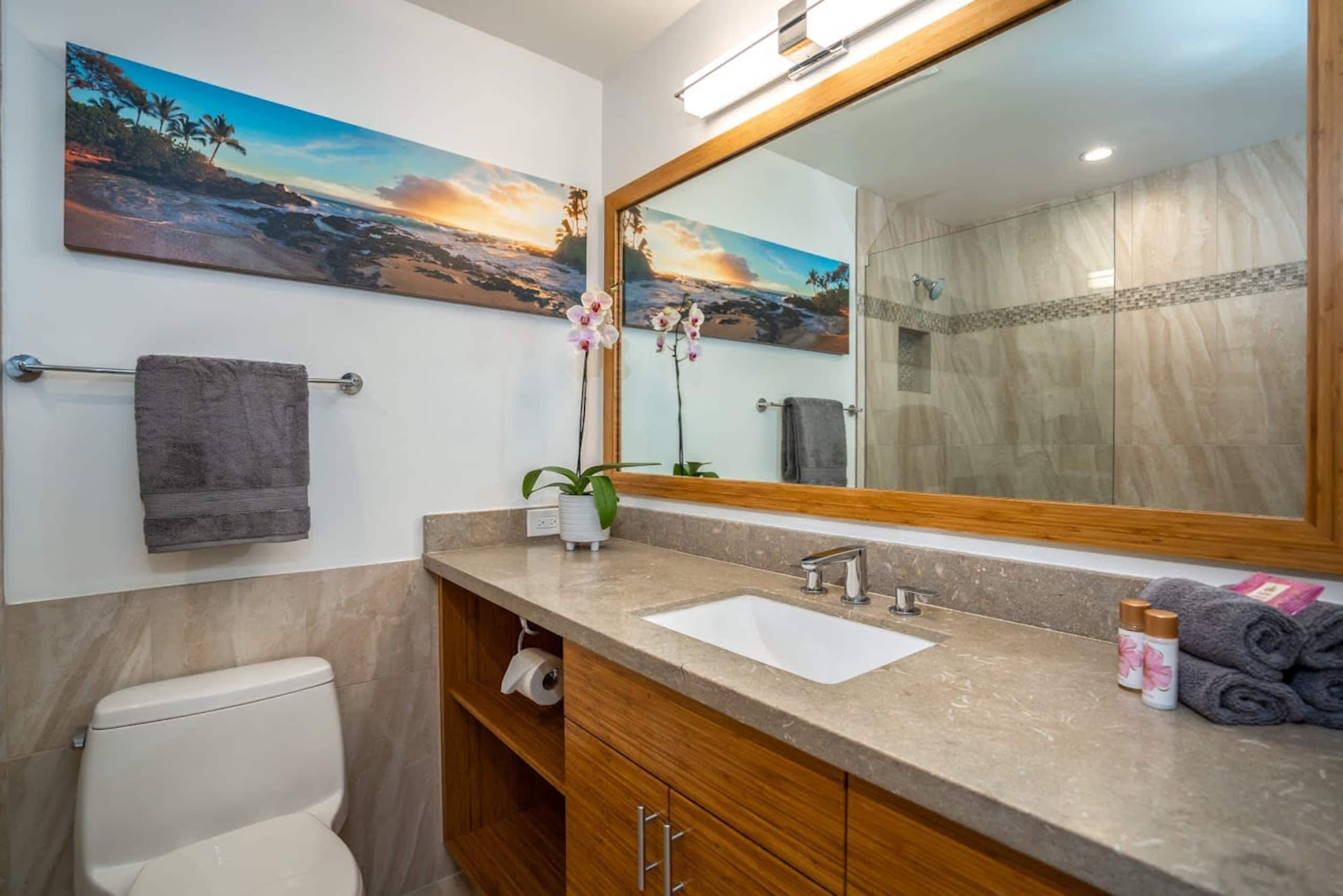Luxurious Wailea Ocean Vistas - Image 23
