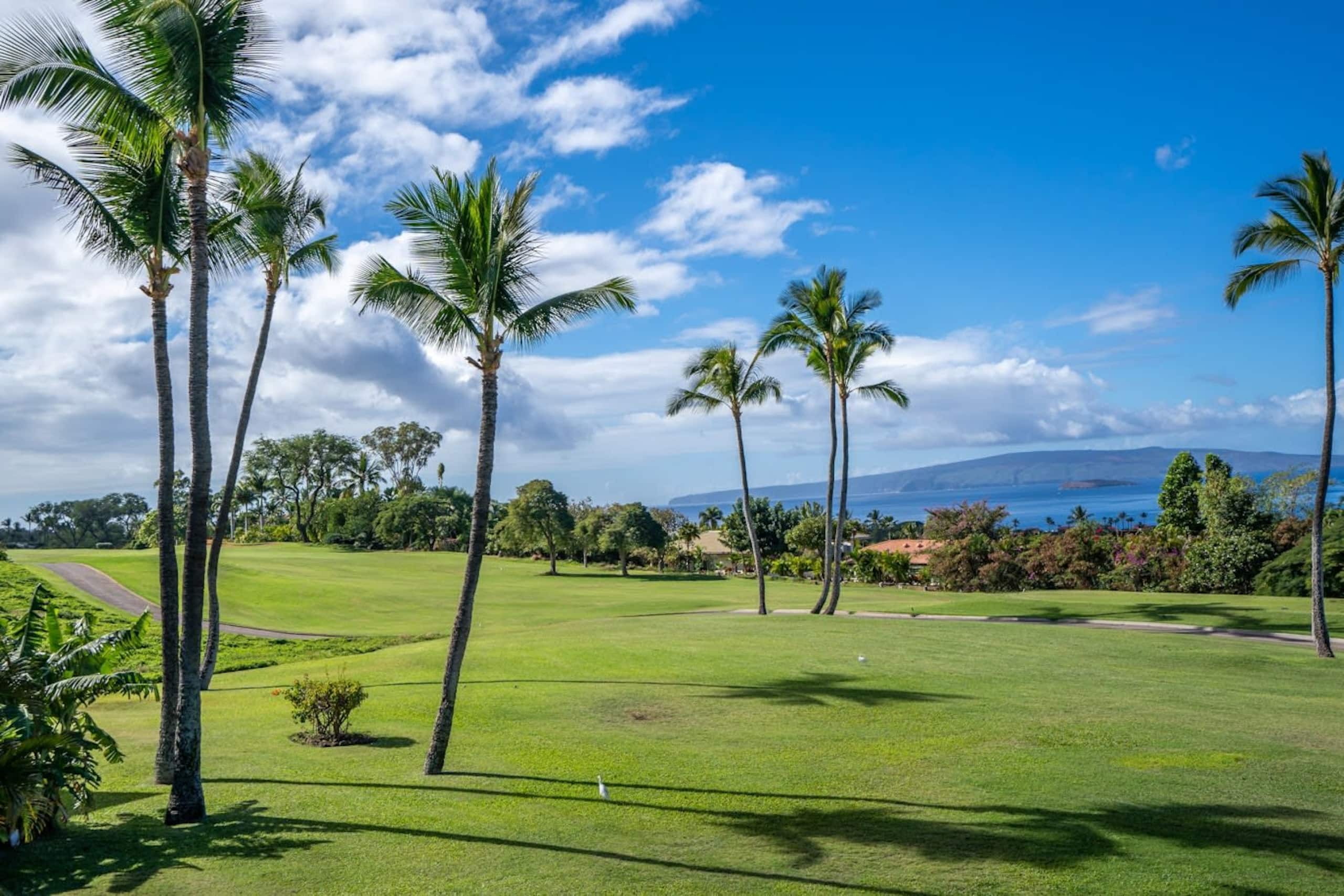 Luxurious Wailea Ocean Vistas - Image 33