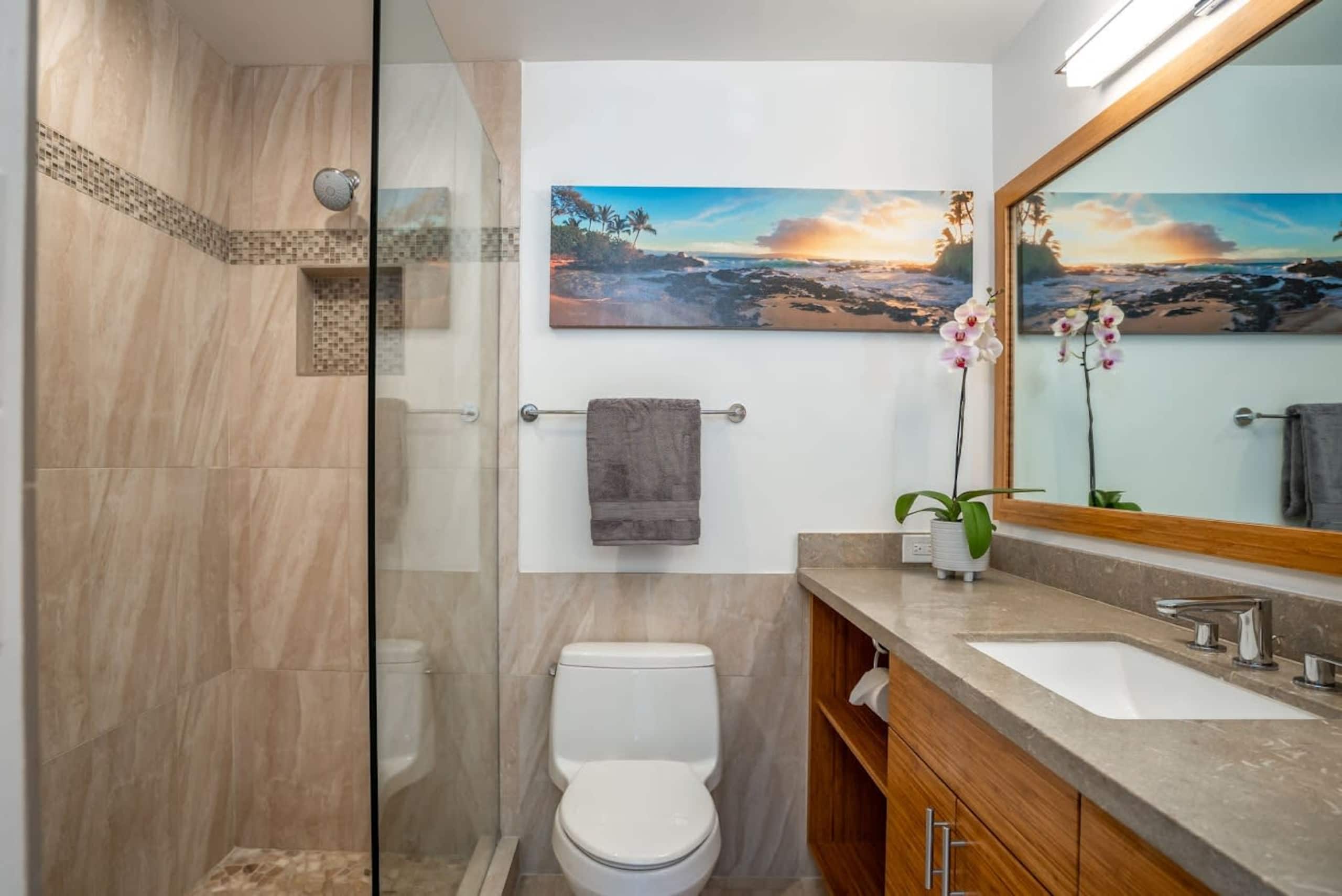 Luxurious Wailea Ocean Vistas - Image 24