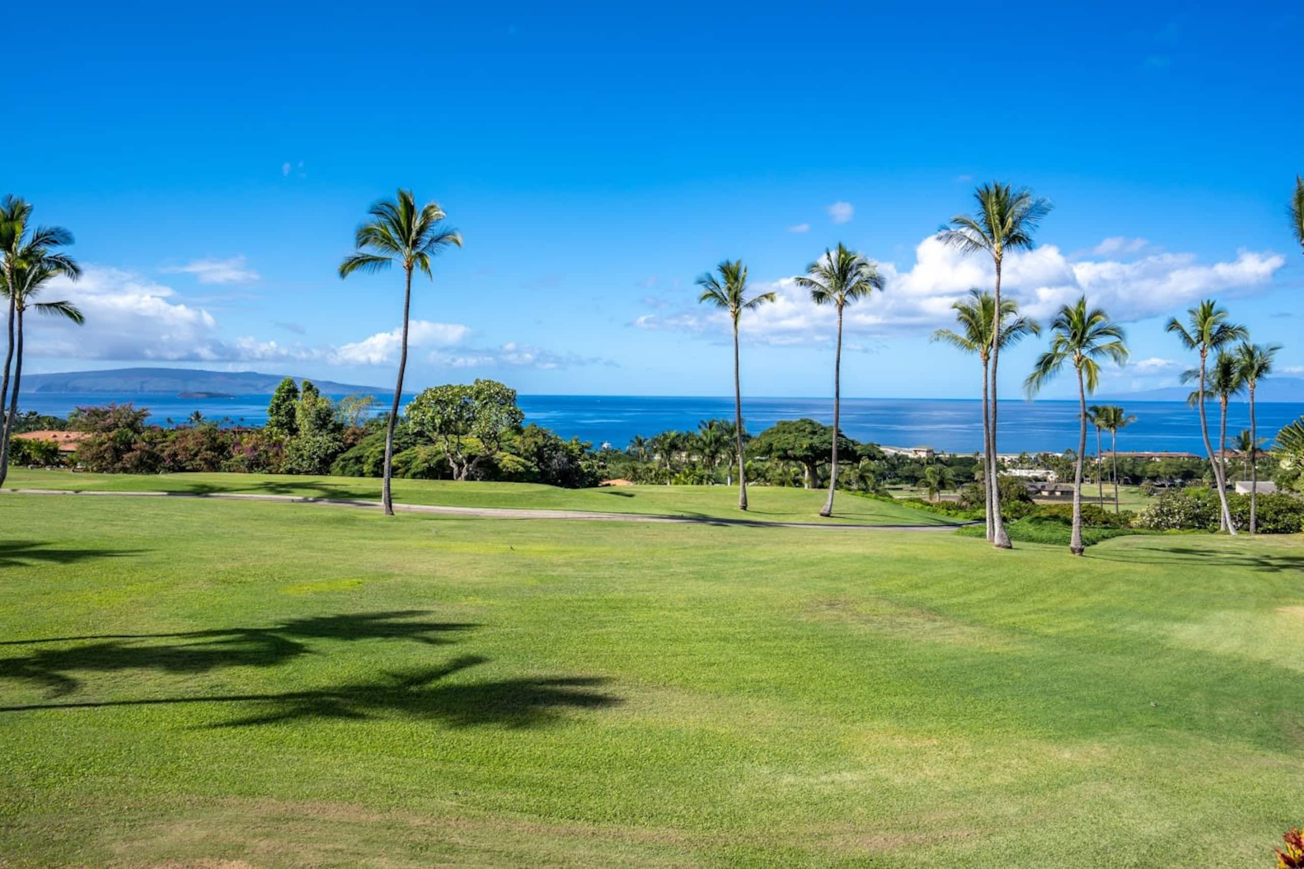Luxurious Wailea Ocean Vistas - Image 34
