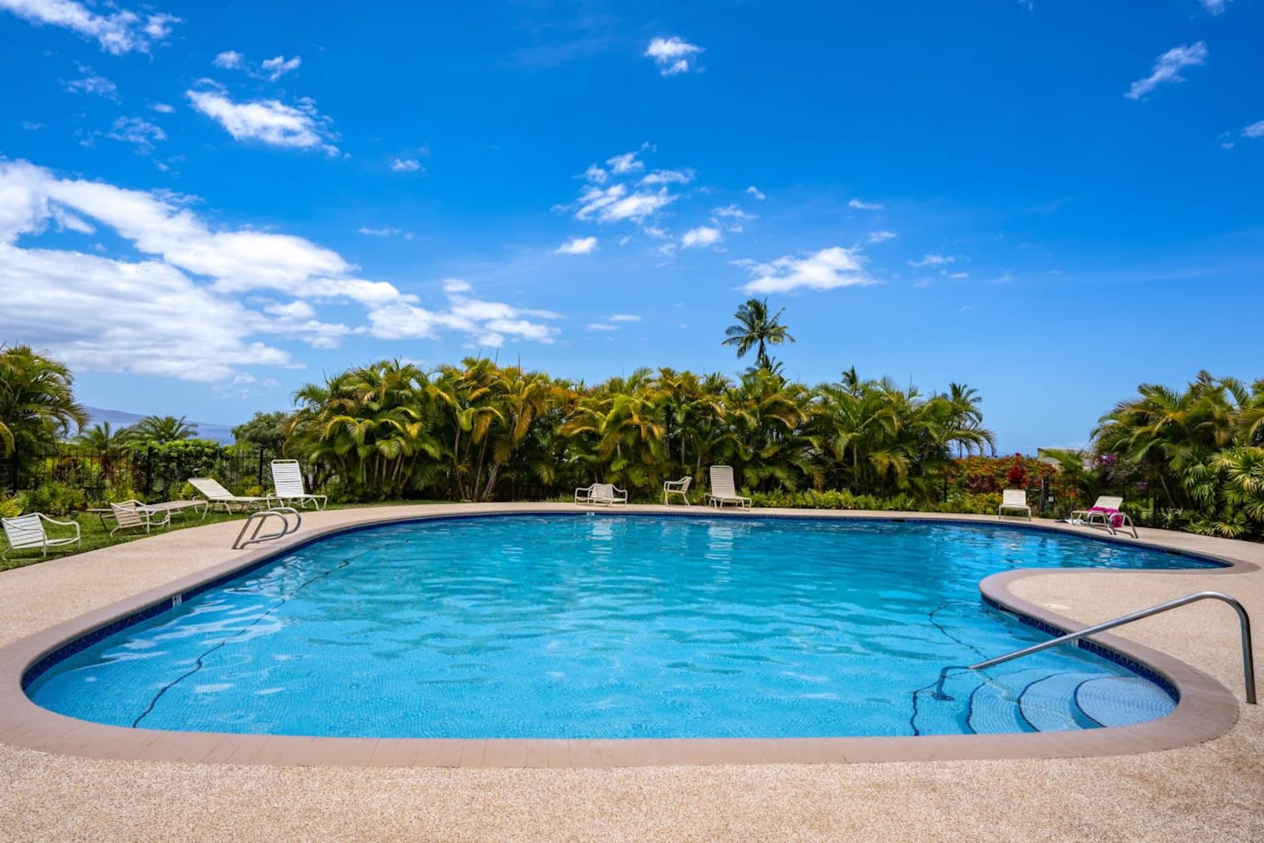 Luxurious Wailea Ocean Vistas - Image 35