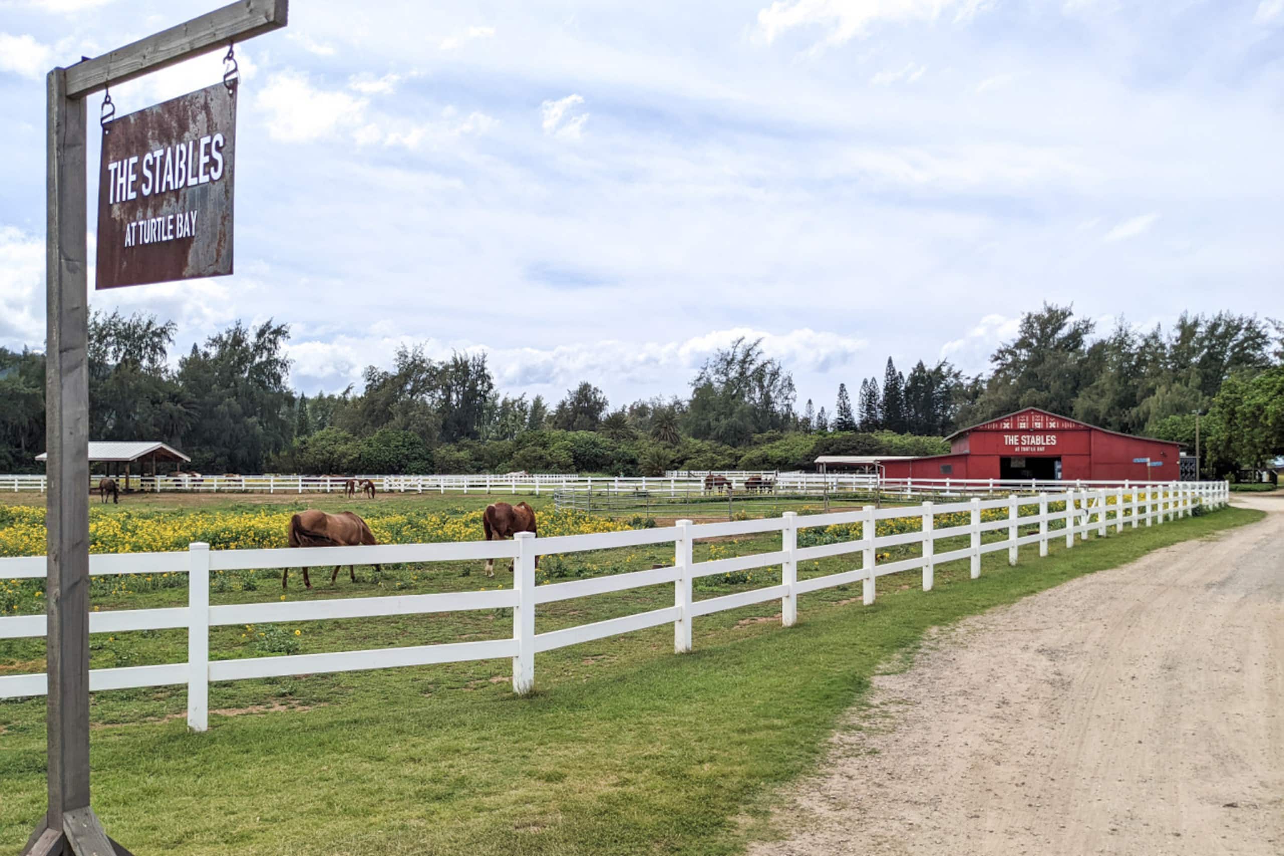 Home in Kahuku · ★4.93 · 2 bedrooms · 3 beds · 2 shared baths - Image 32