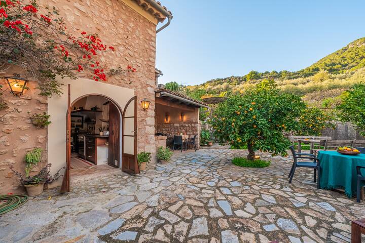 Se Teulere gallery image 2