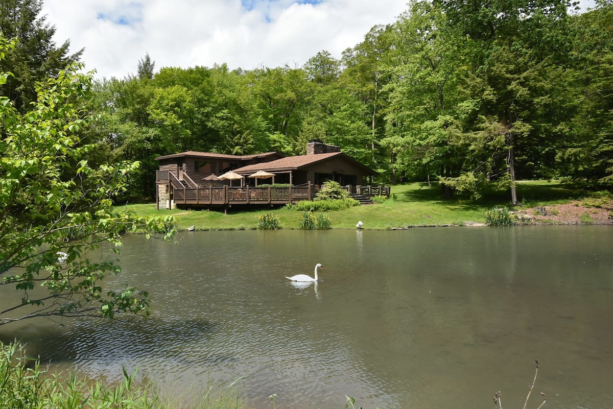 A tranquil cabin sits beside Rainbow Pond, surrounded by lush green trees. A gentle swan glides across the water, while the large deck features an umbrella for shade. Natural light filters through the trees, creating a serene outdoor setting.