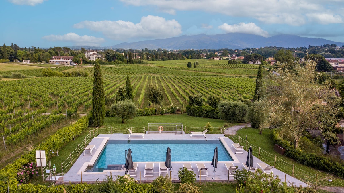 A serene swimming pool is surrounded by lush green grass and tall trees, with lounge chairs lining the poolside. Expansive vineyards stretch into the distance, framed by gentle hills and a clear sky, creating a peaceful landscape.