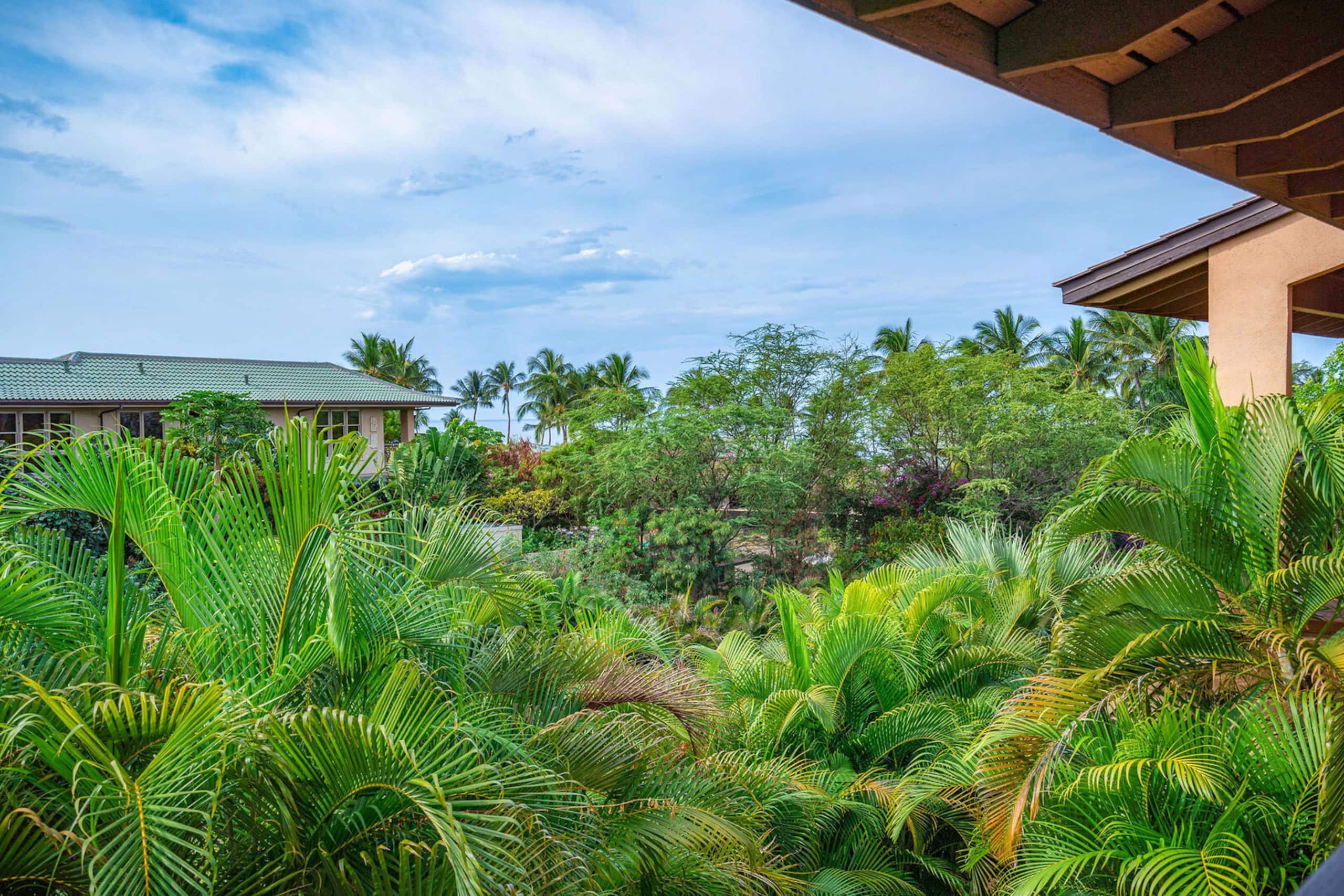 Condo in Kihei · ★4.93 · 1 bedroom · 1 bed · 1 bath - Image 21