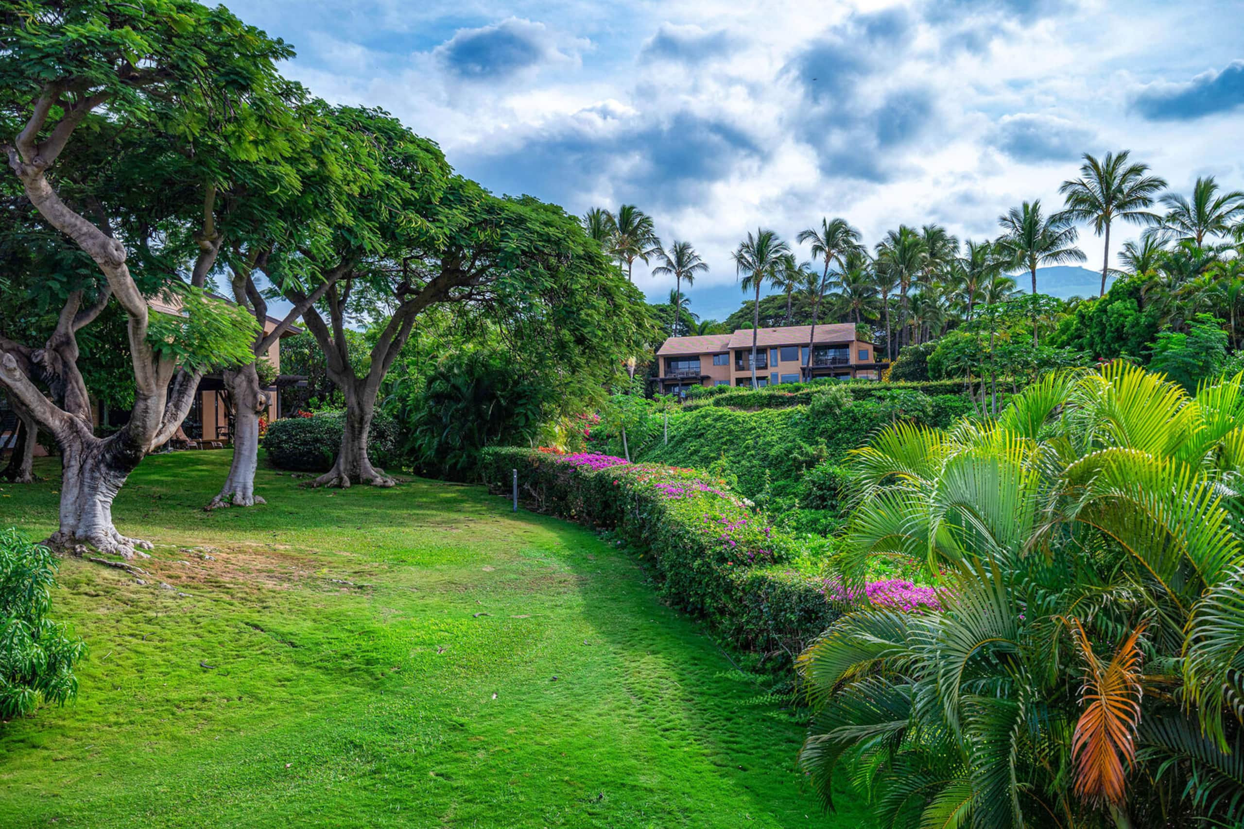 Condo in Kihei · ★4.93 · 1 bedroom · 1 bed · 1 bath - Image 15