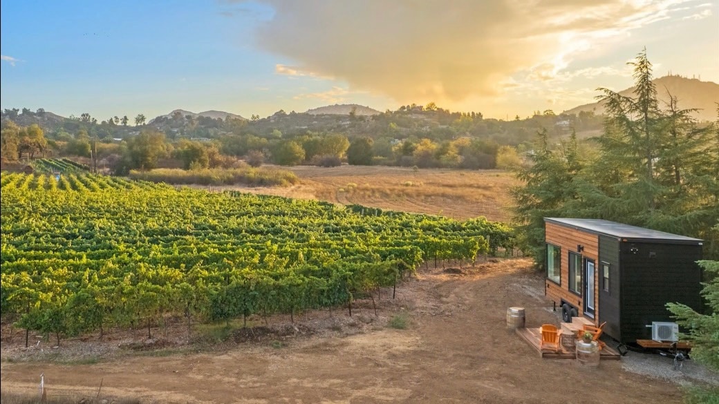 A modern tiny cabin is situated next to a lush vineyard, surrounded by gentle hills. The landscape is dotted with grapevines under a softly illuminated sky, creating a serene setting. Adirondack chairs are positioned outside the cabin, providing a place to relax and enjoy the views.