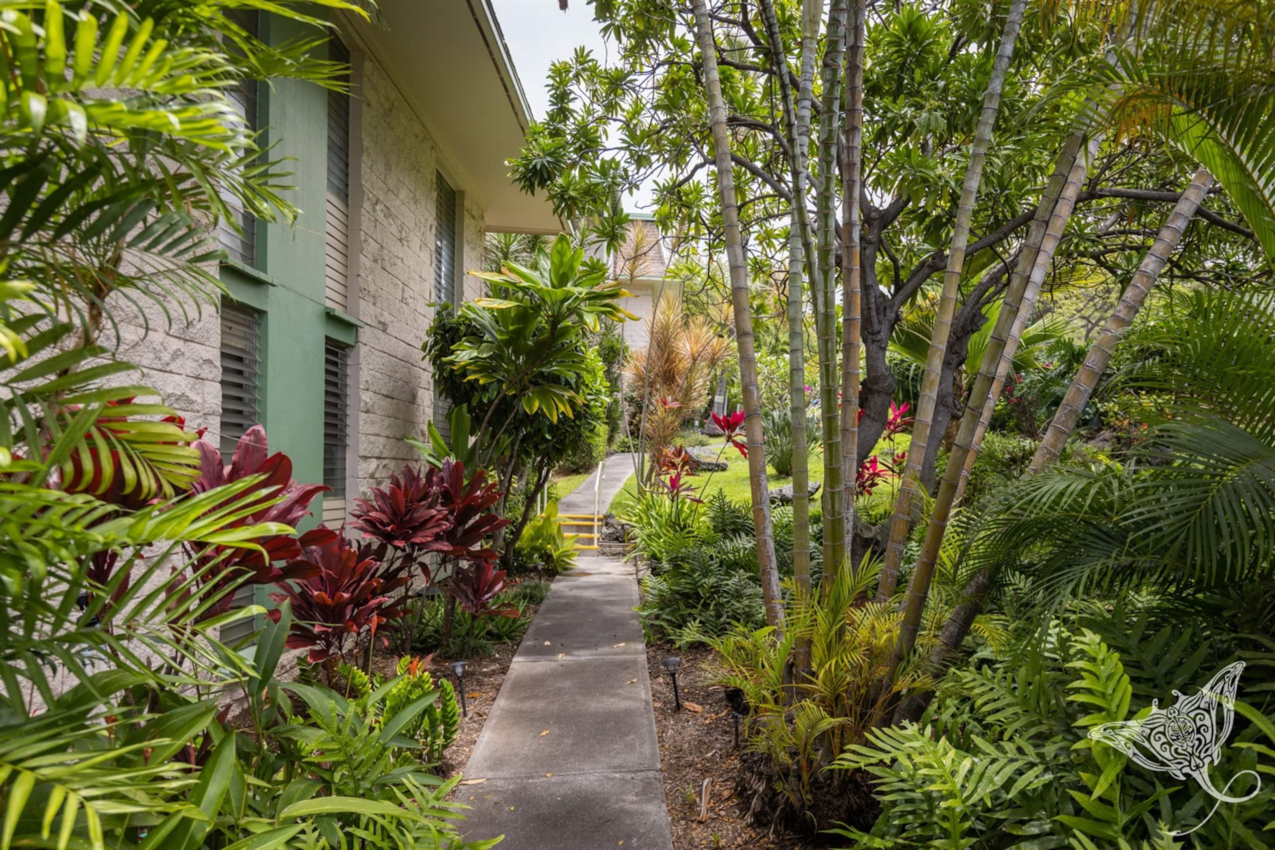 Condo in Kahaluu-Keauhou · ★4.94 · 1 bedroom · 1 bed · 2 baths - Photo 30