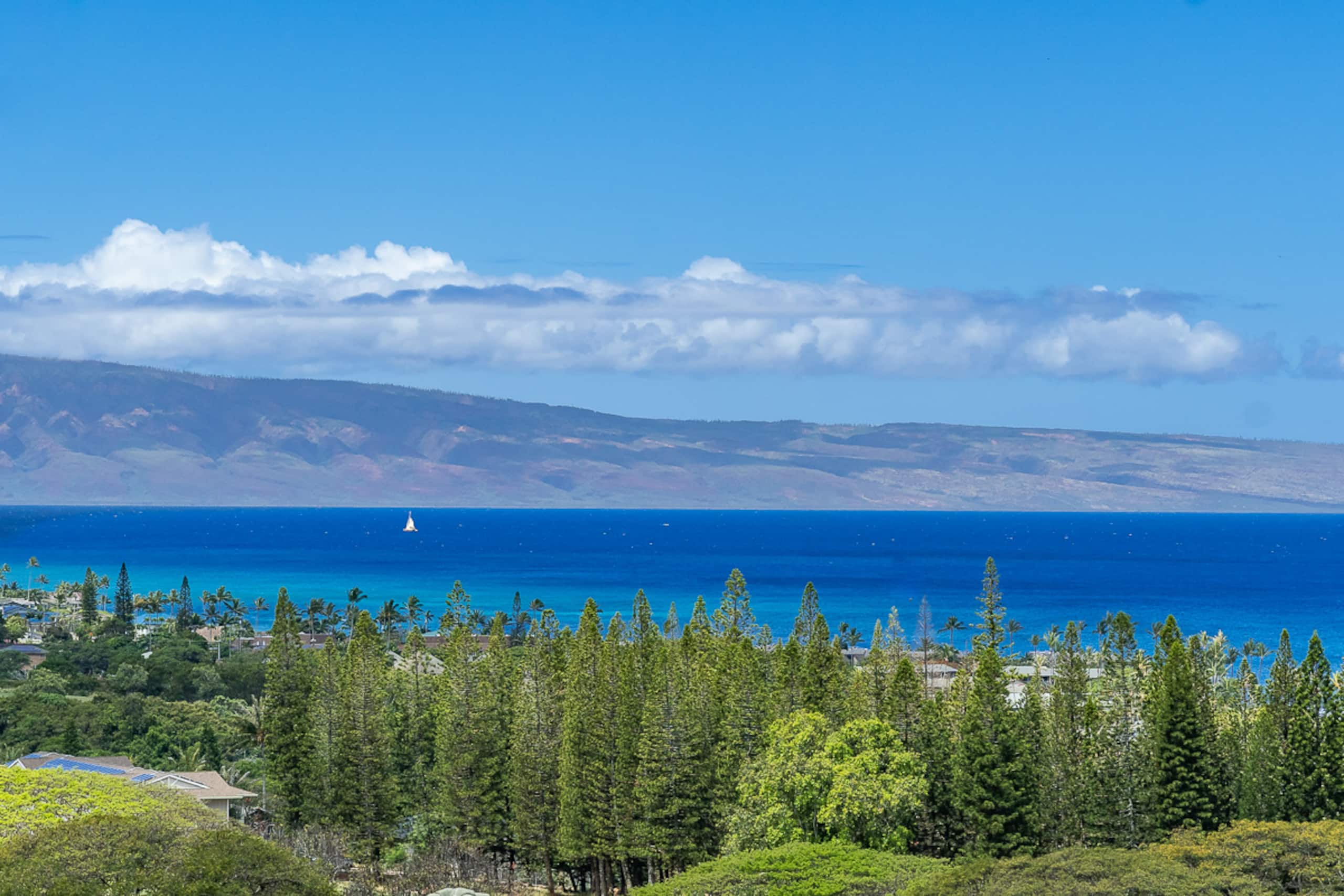Condo in Lahaina · ★4.96 · 1 bedroom · 2 beds · 2 private baths - Image 42
