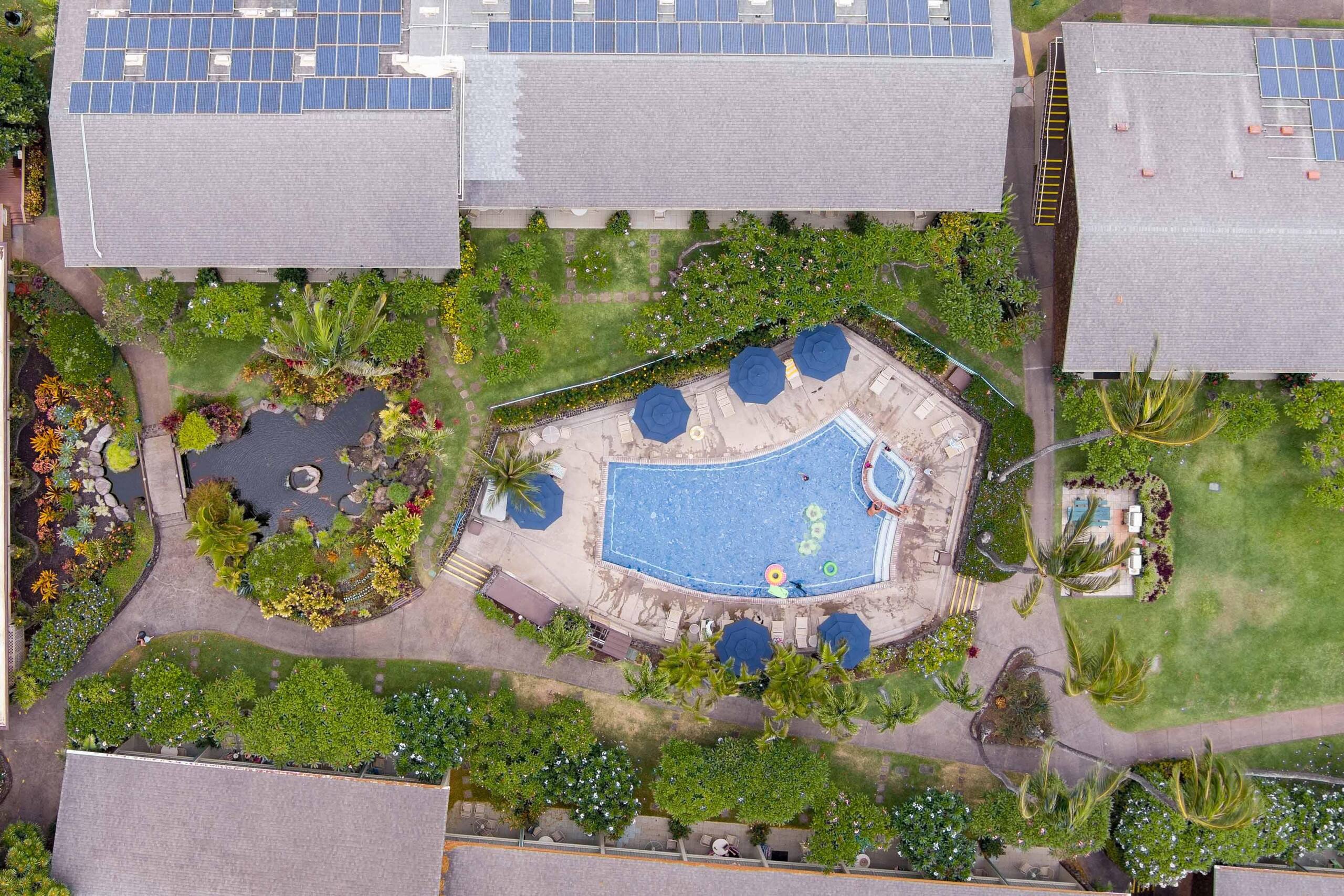 Condo in Lahaina · ★4.88 · Studio · 1 bed · 1 bath - Image 47