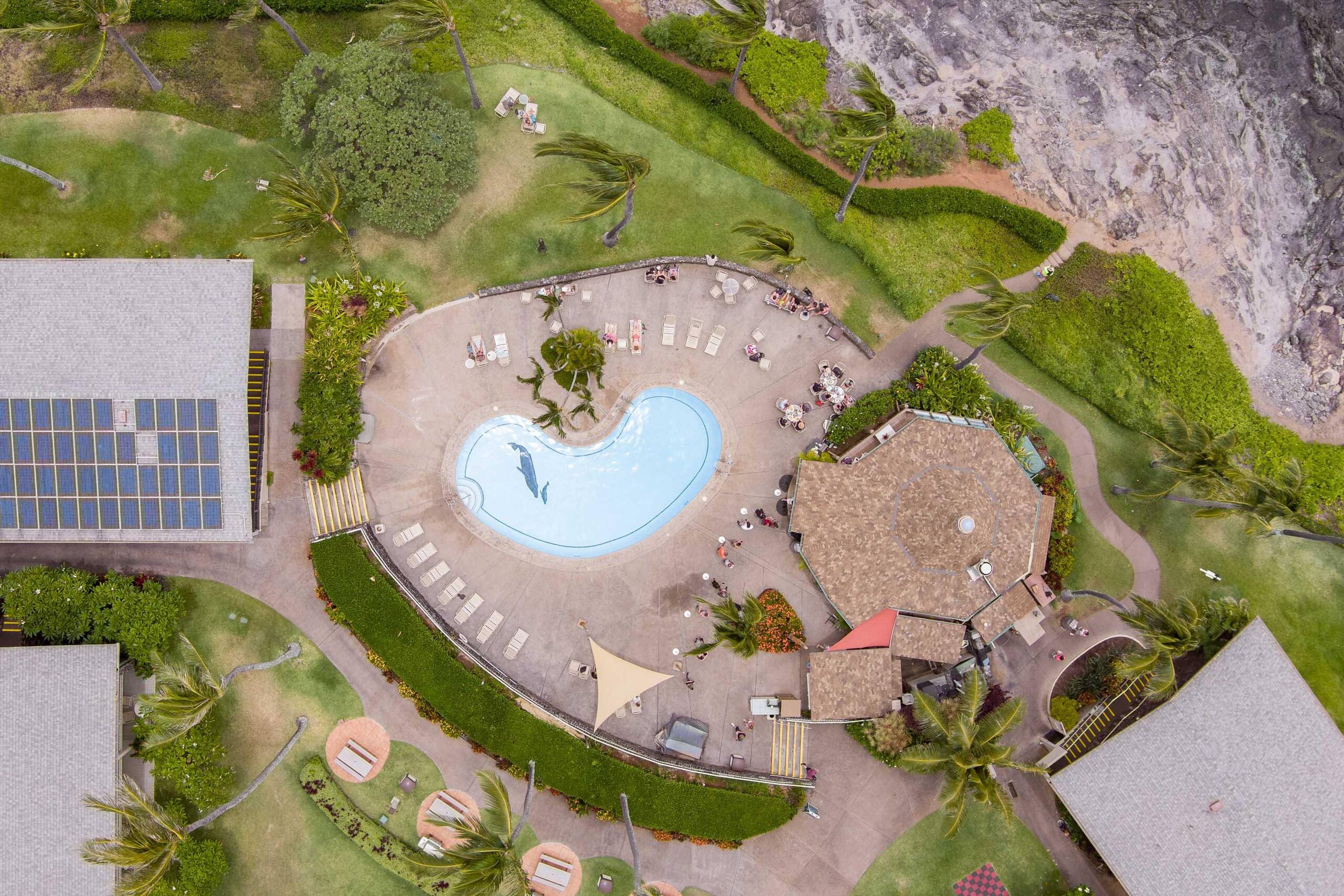 Condo in Lahaina · ★4.88 · Studio · 1 bed · 1 bath - Image 38