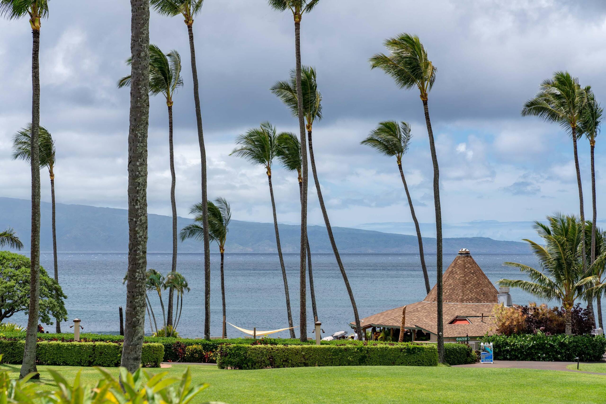 Condo in Lahaina · ★4.88 · Studio · 1 bed · 1 bath - Image 46