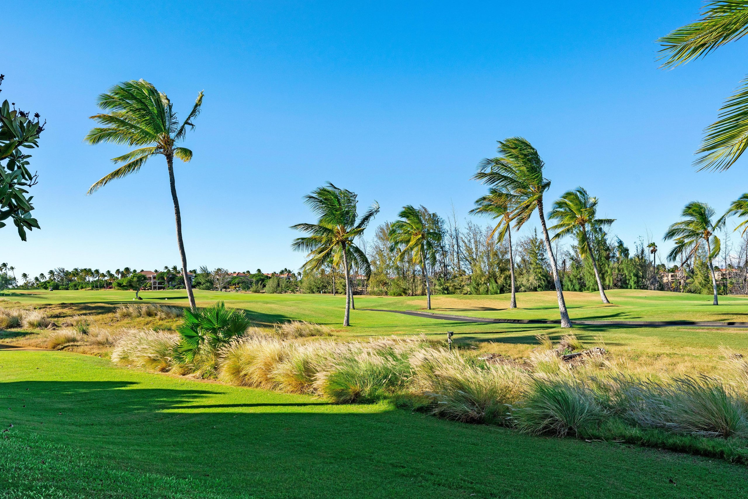 Includes Beach Gear Waikoloa Fairway Villas G4 - Photo 41