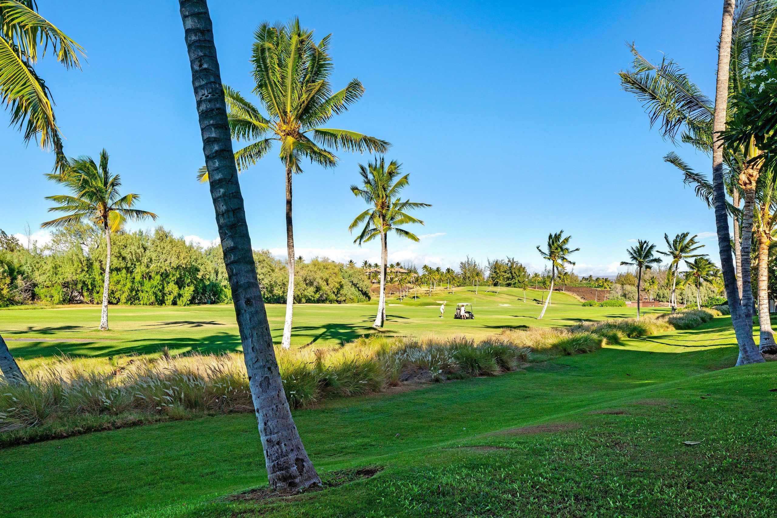 Includes Beach Gear Waikoloa Fairway Villas G4 - Photo 42