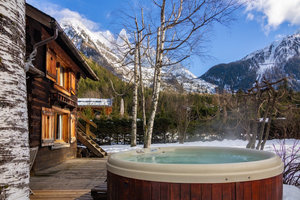 A wooden chalet is depicted beside a steaming hot tub, set against a backdrop of snow-capped mountains and a clear blue sky. The wooden structure features multiple windows, and the outdoor area includes a small wooden deck surrounded by trees.