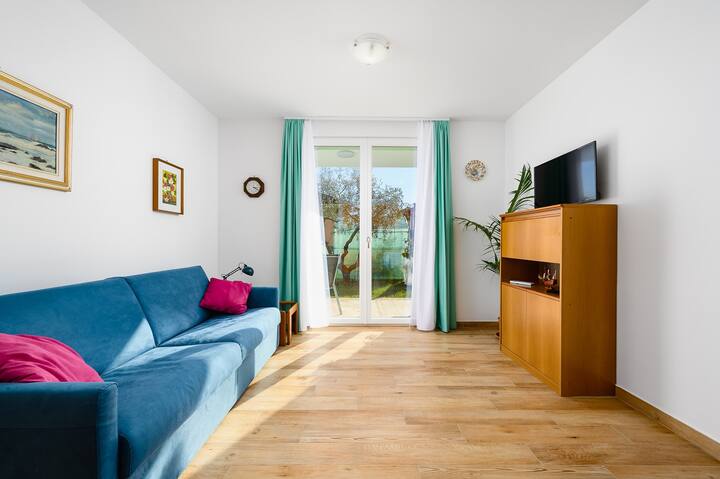 House With Apartments Andrea - Andrea 1 - Umag