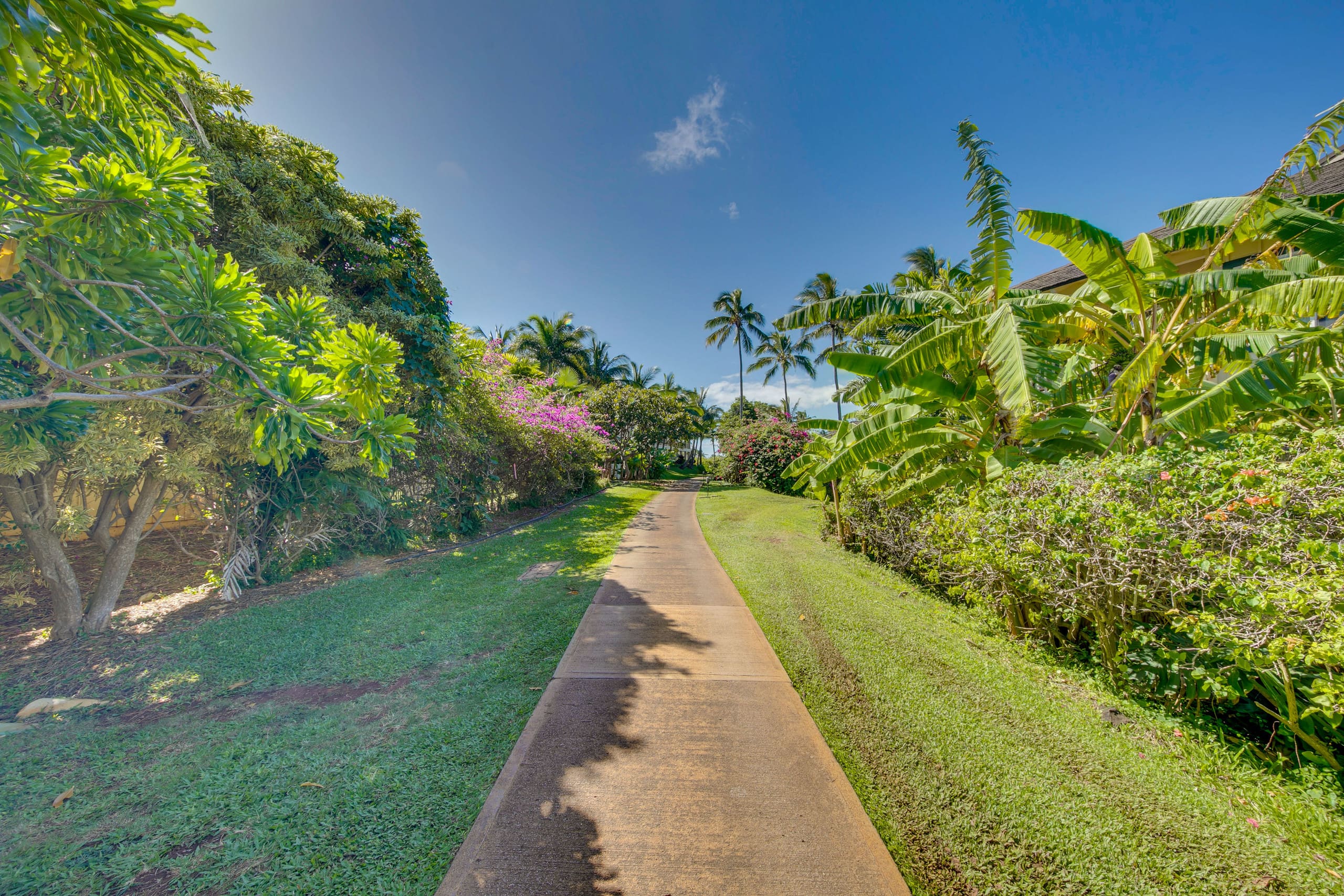 Condo in Koloa · ★4.95 · 2 bedrooms · 5 beds · 2 shared baths - Image 25
