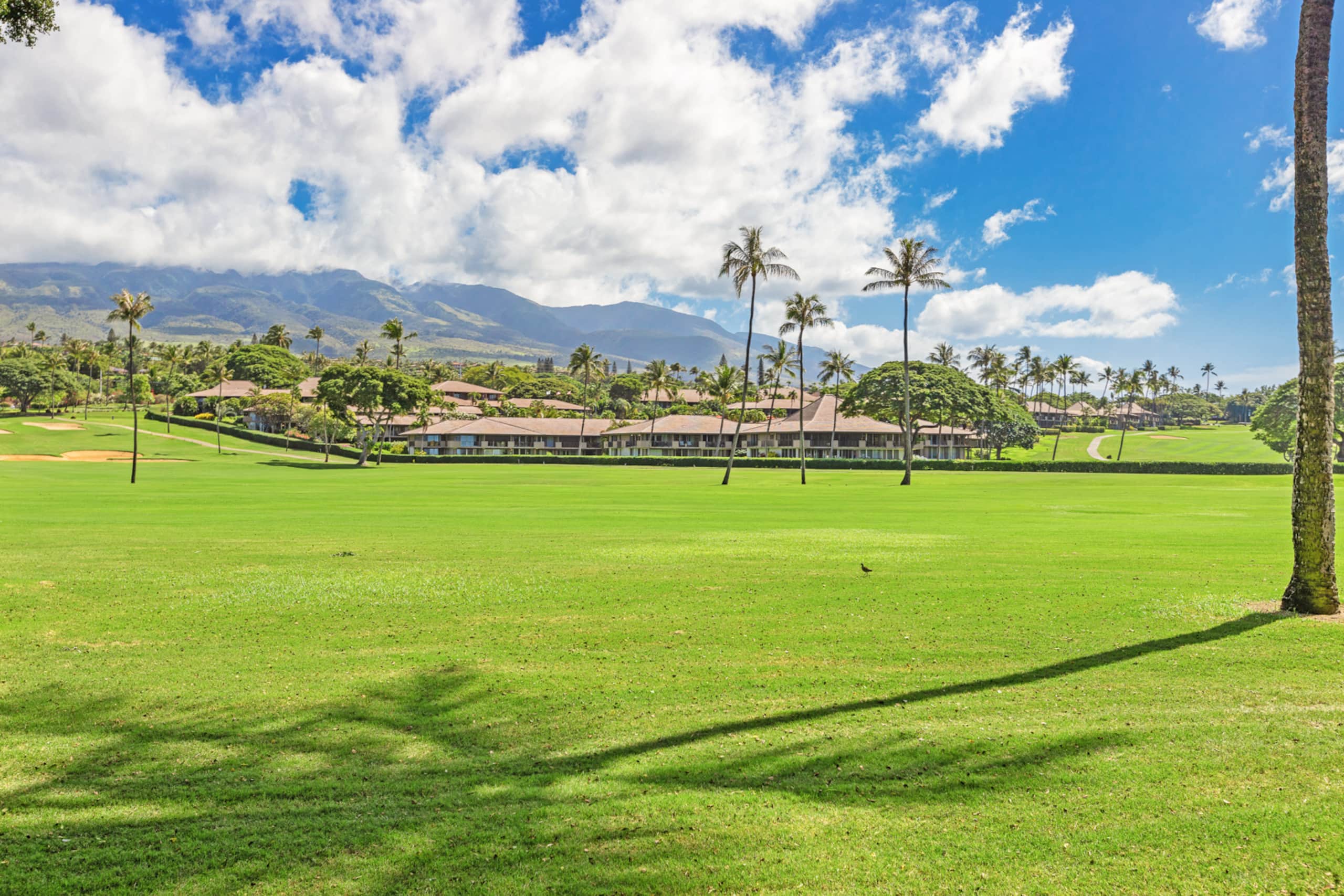 Home in Lahaina · ★4.57 · 1 bedroom · 2 beds · 2 baths - Image 22