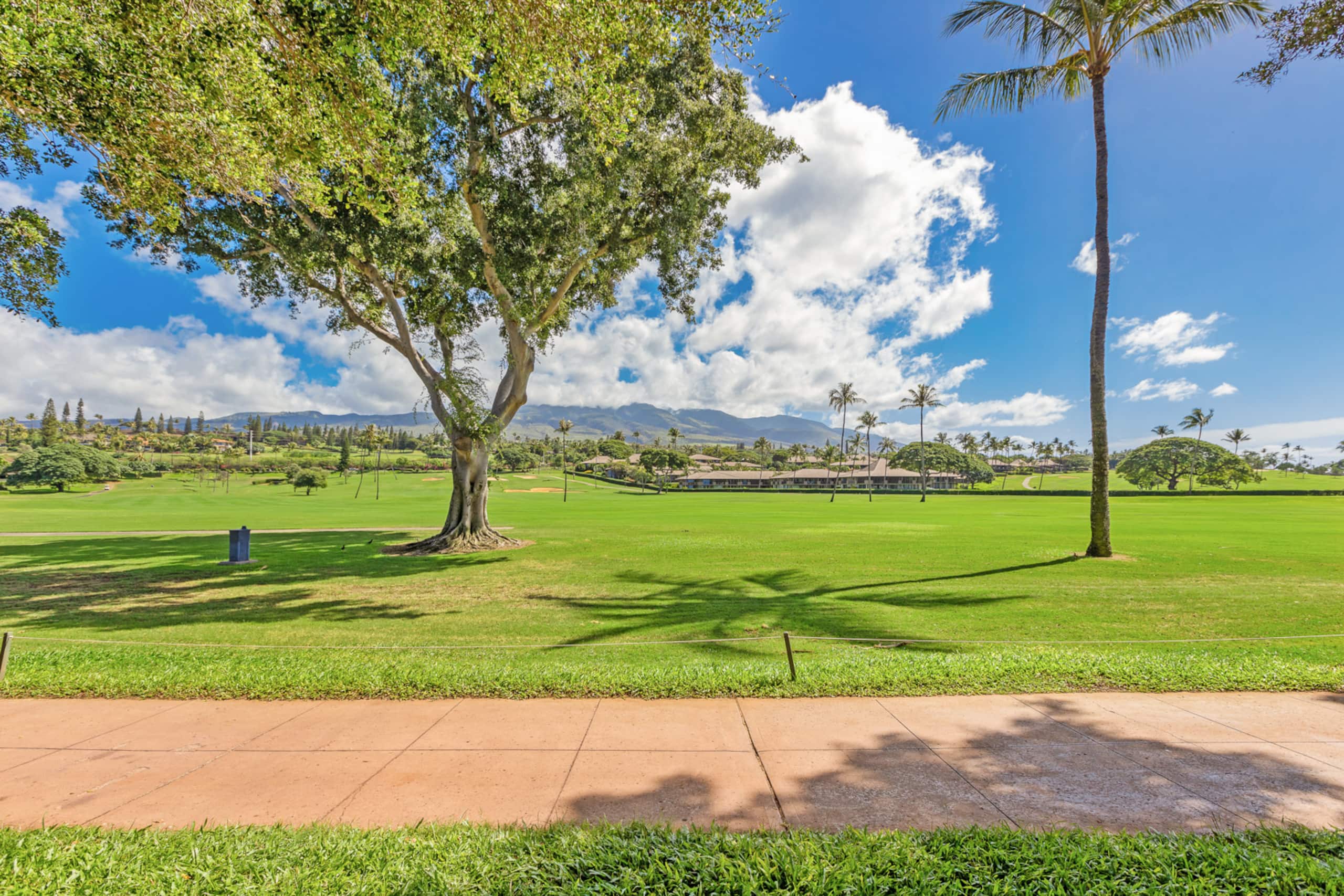 Home in Lahaina · ★4.57 · 1 bedroom · 2 beds · 2 baths - Image 23