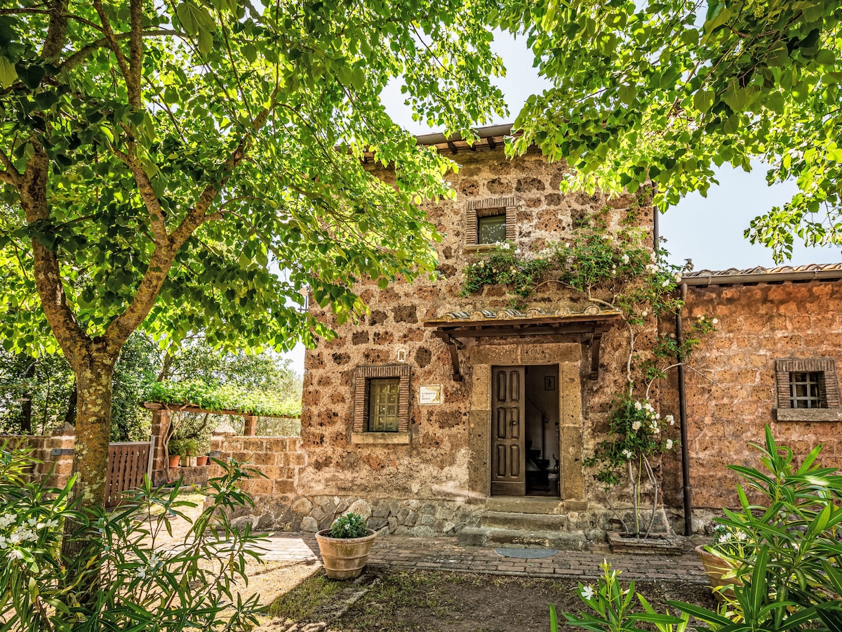 The rustic stone exterior of the house is surrounded by lush greenery, featuring large trees that create a natural canopy. The entrance is framed by climbing plants, with an open door inviting guests inside. The path leading to the entrance is made of stone, enhancing the welcoming ambiance.