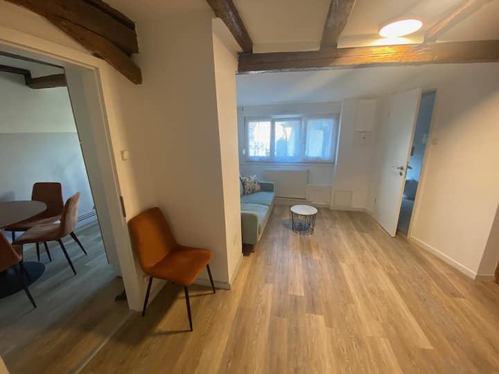 Logement Privatif "Cathédrale" - Strassburg