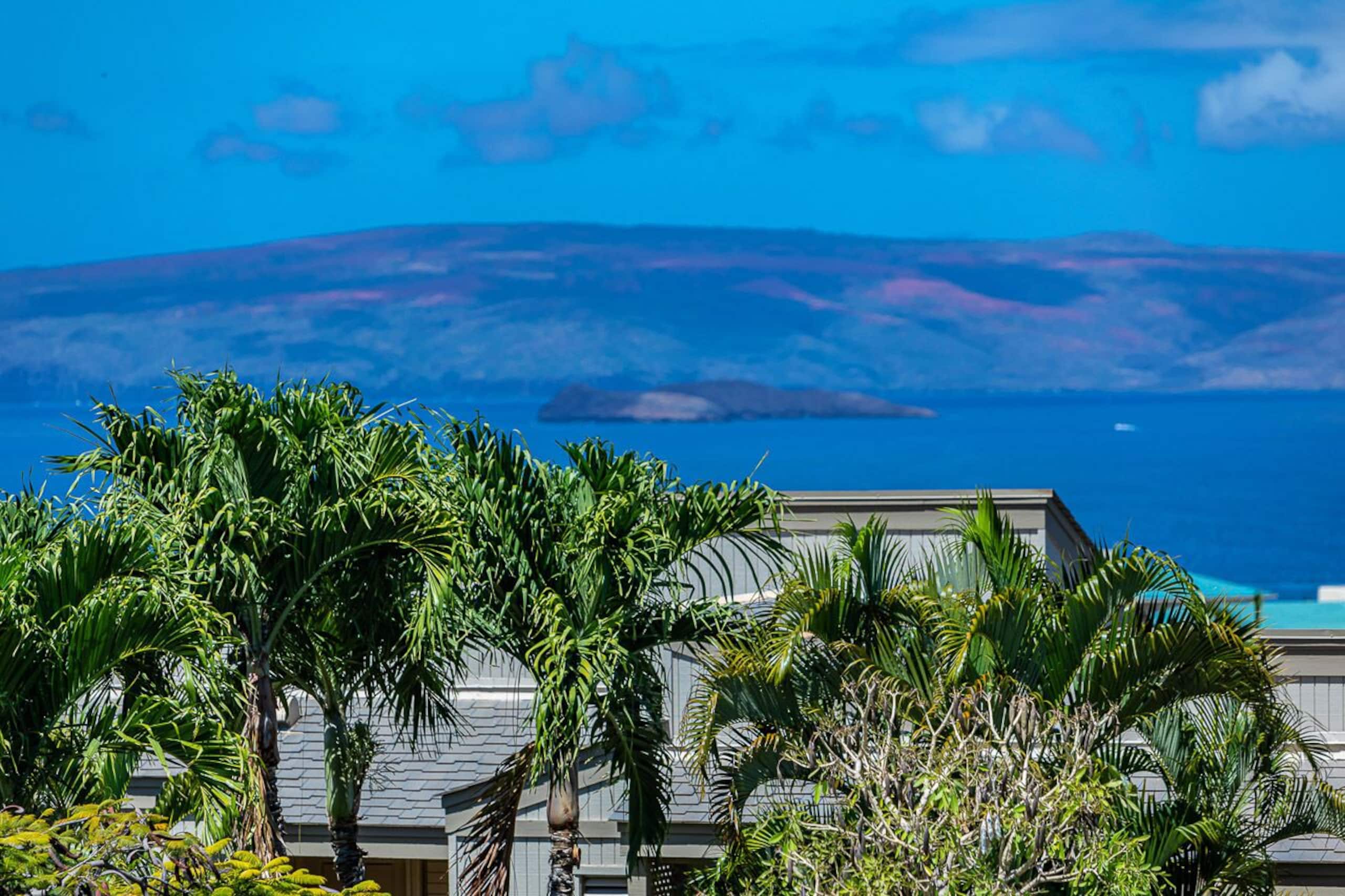 Condo in Wailea · ★4.95 · 1 bedroom · 2 beds · 2 baths - Image 11