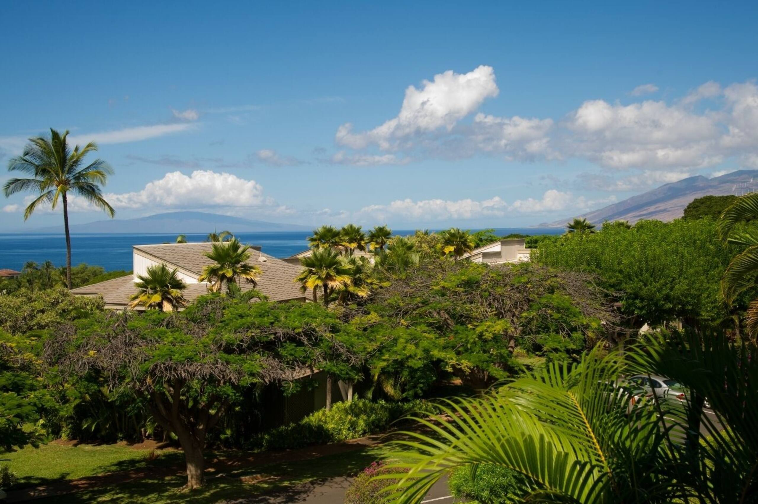 Condo in Wailea · ★4.95 · 1 bedroom · 2 beds · 2 baths - Image 23