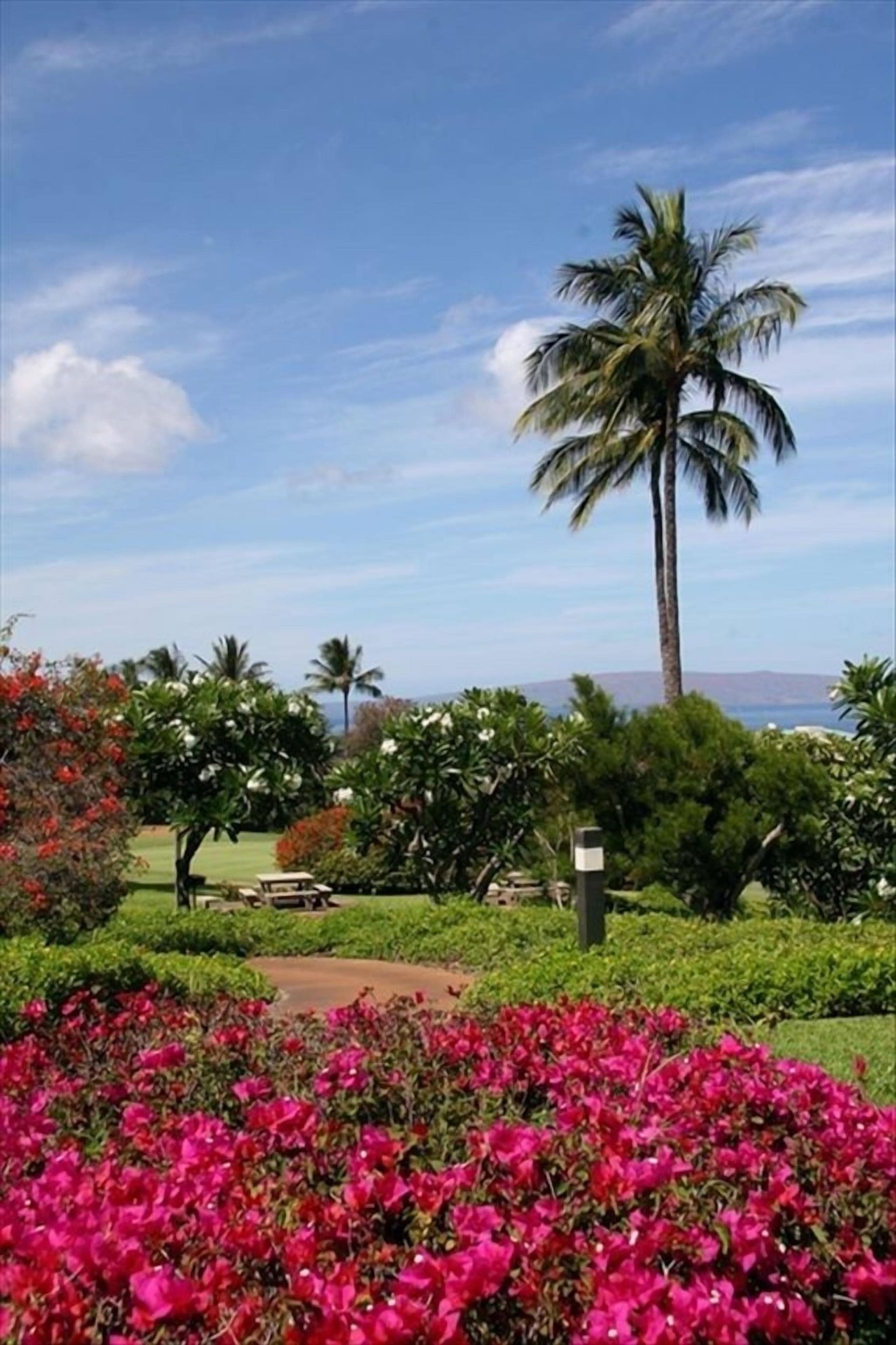 Condo in Wailea · ★4.95 · 1 bedroom · 2 beds · 2 baths - Image 37