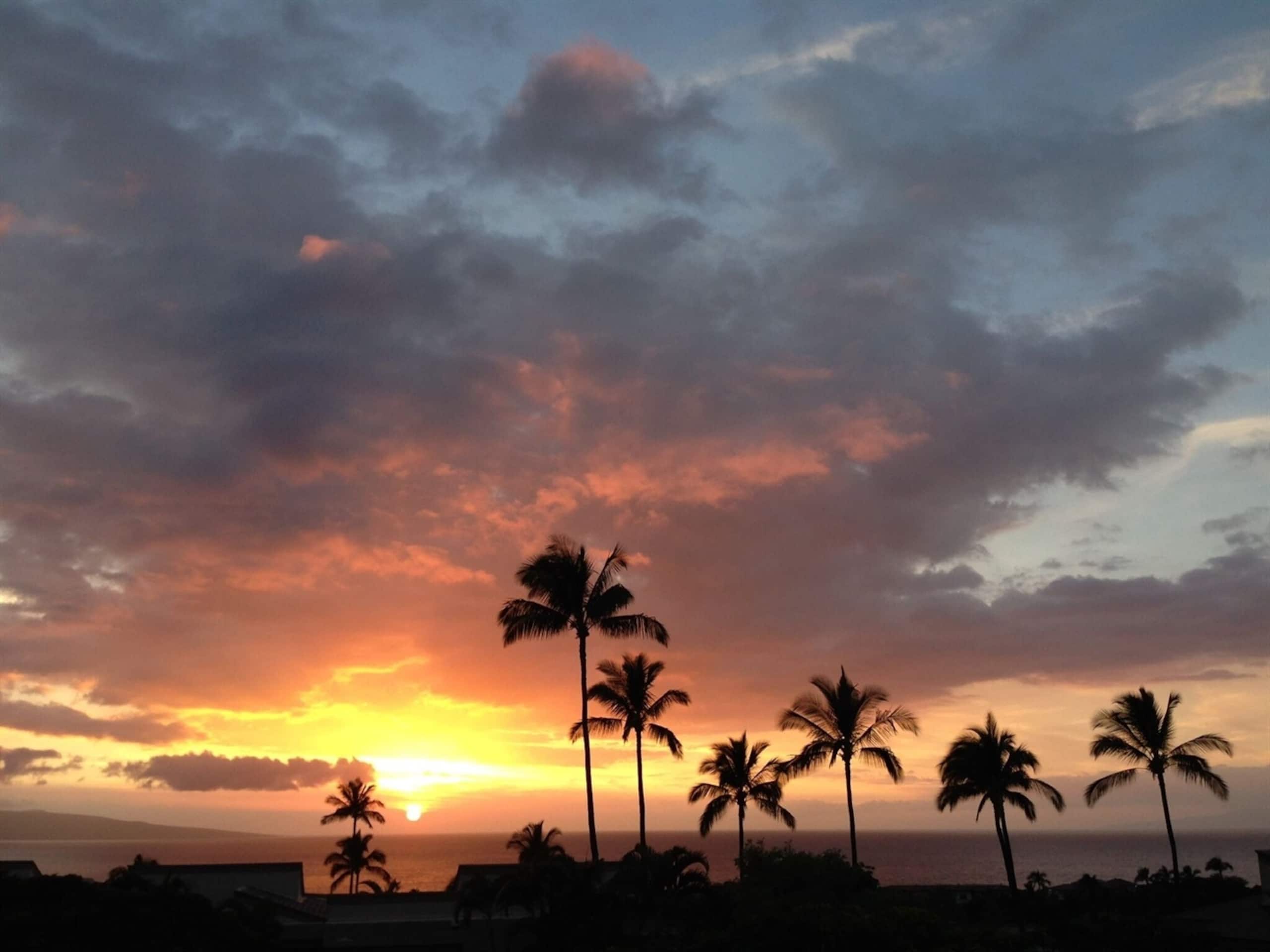 Condo in Wailea · ★4.95 · 1 bedroom · 2 beds · 2 baths - Image 17