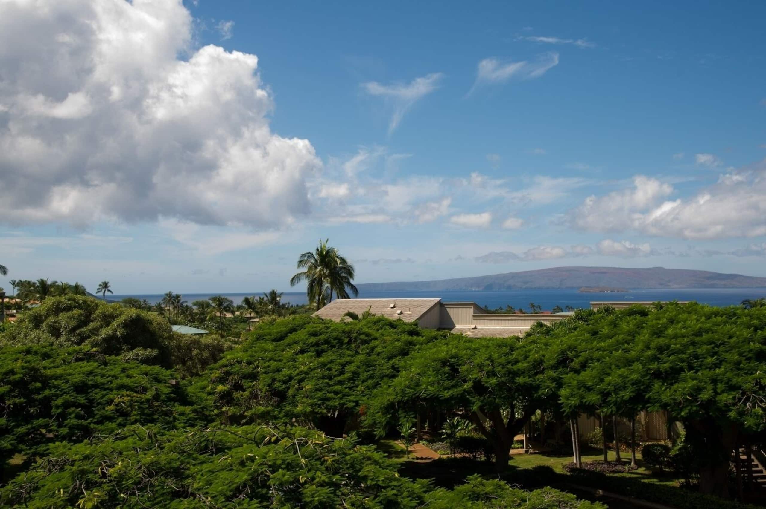 Condo in Wailea · ★4.95 · 1 bedroom · 2 beds · 2 baths - Image 26