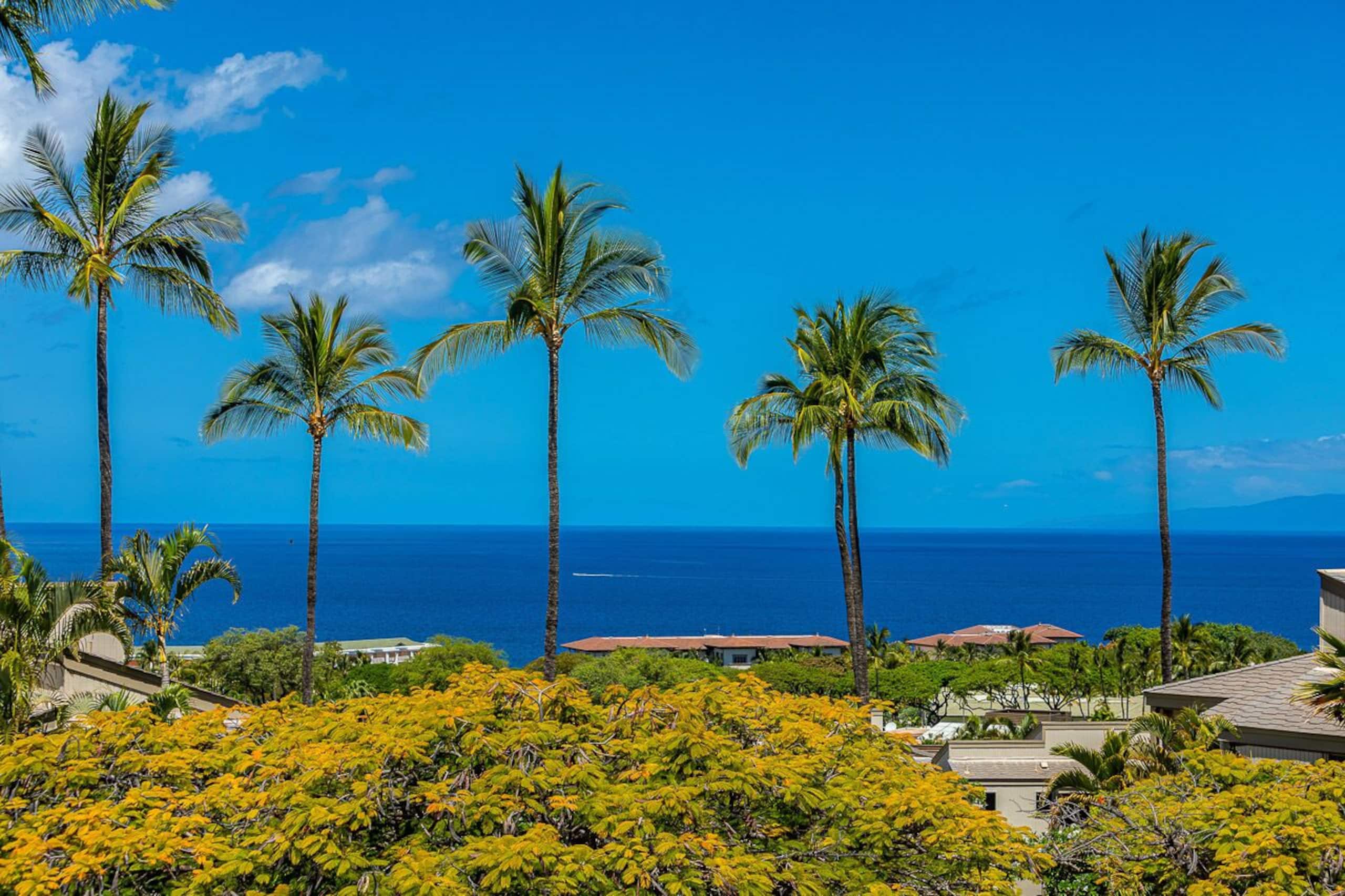 Condo in Wailea · ★4.95 · 1 bedroom · 2 beds · 2 baths - Image 25