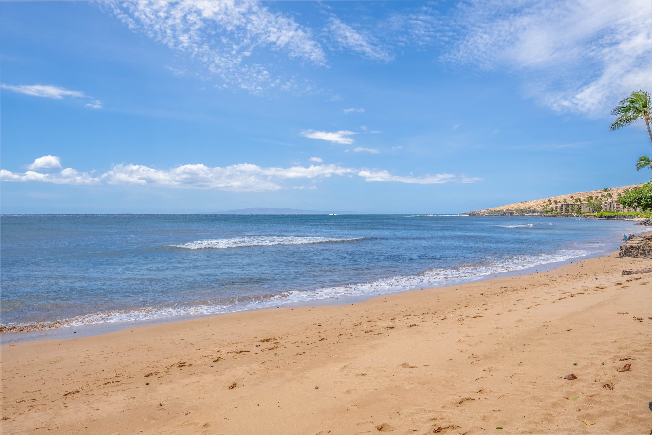 Condo in Wailuku · ★4.83 · 1 bedroom · 2 beds · 1 shared bath - Image 33