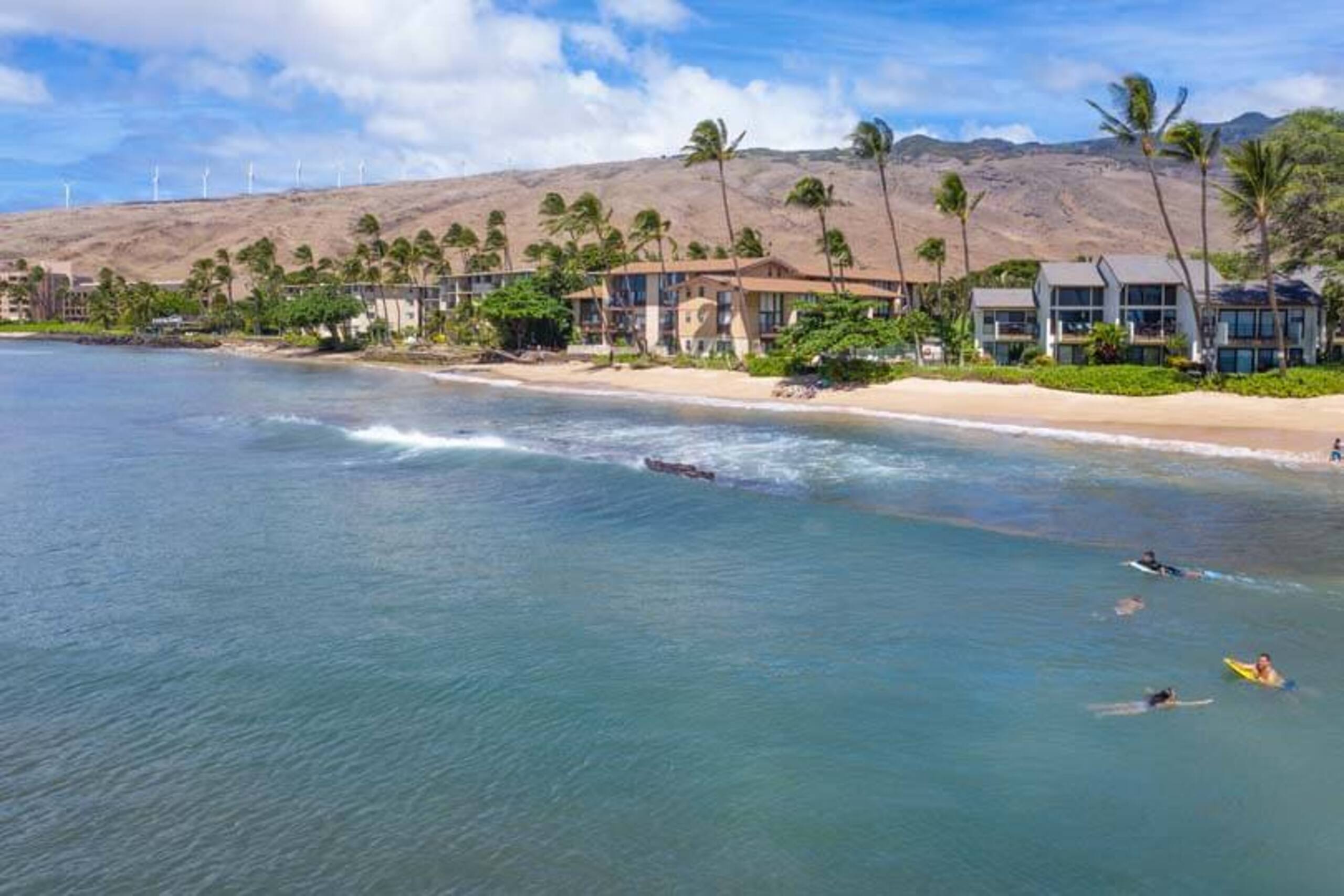 Condo in Wailuku · ★4.83 · 1 bedroom · 2 beds · 1 shared bath - Image 38