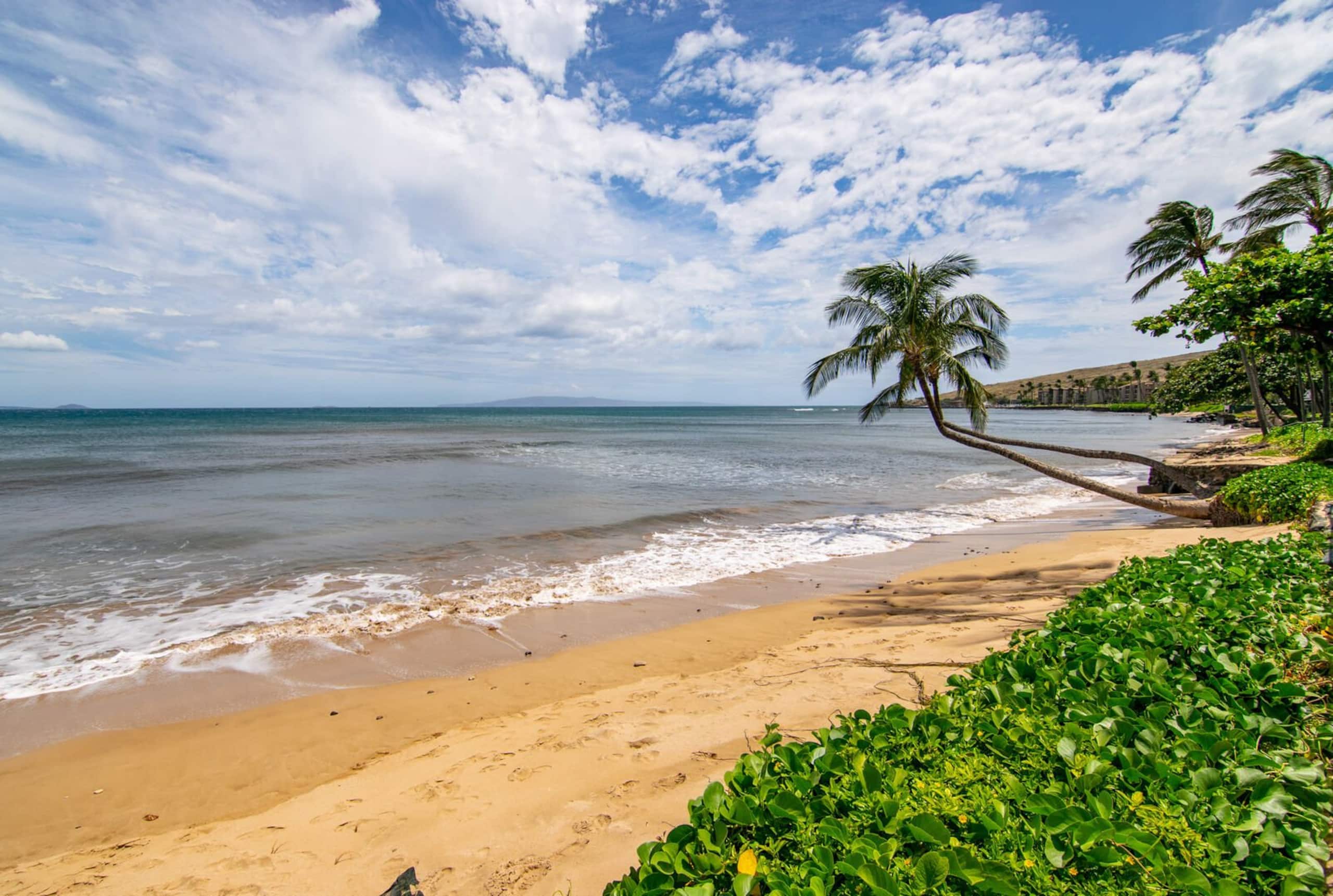 Condo in Wailuku · ★4.83 · 1 bedroom · 2 beds · 1 shared bath - Image 31