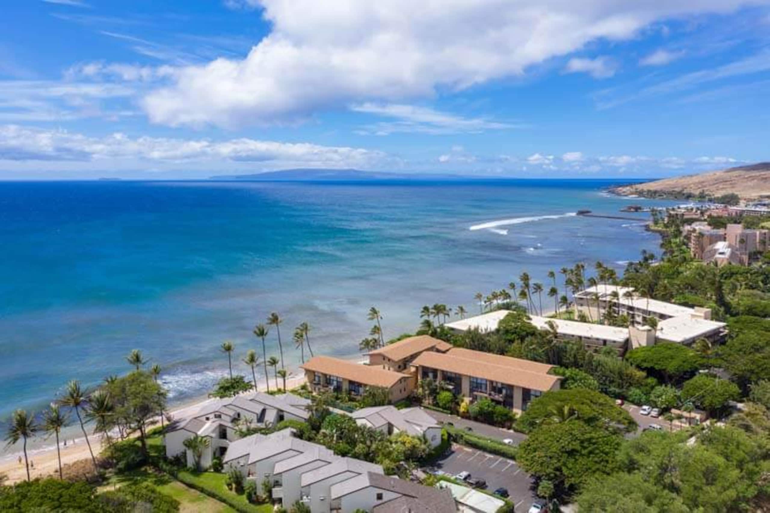 Condo in Wailuku · ★4.83 · 1 bedroom · 2 beds · 1 shared bath - Image 39