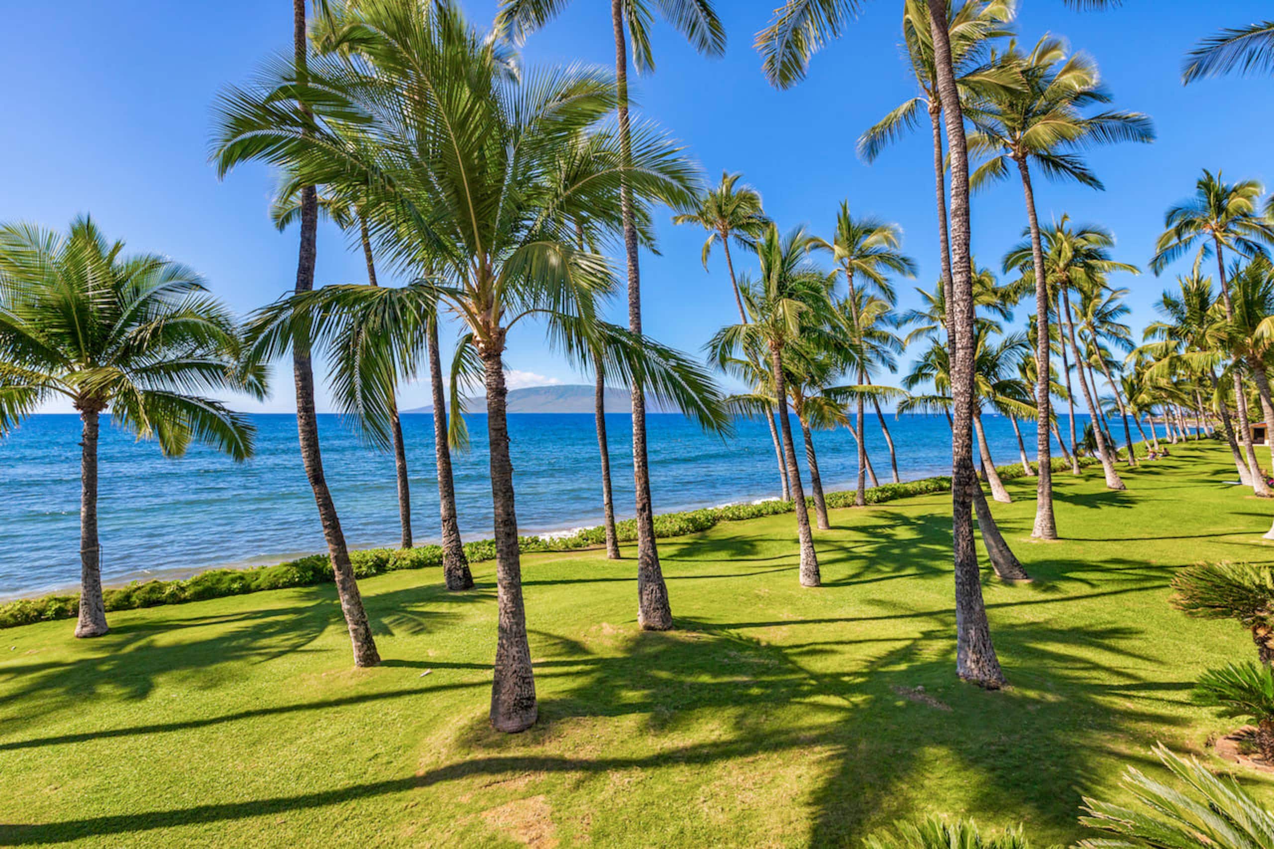 Townhouse in Lahaina · ★4.97 · 4 bedrooms · 5 beds · 3.5 baths - Image 51