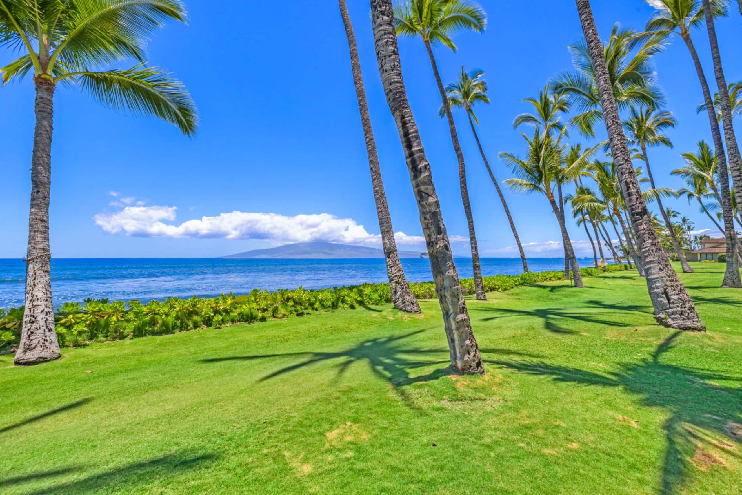 Townhouse in Lahaina · ★4.97 · 4 bedrooms · 5 beds · 3.5 baths - Image 53