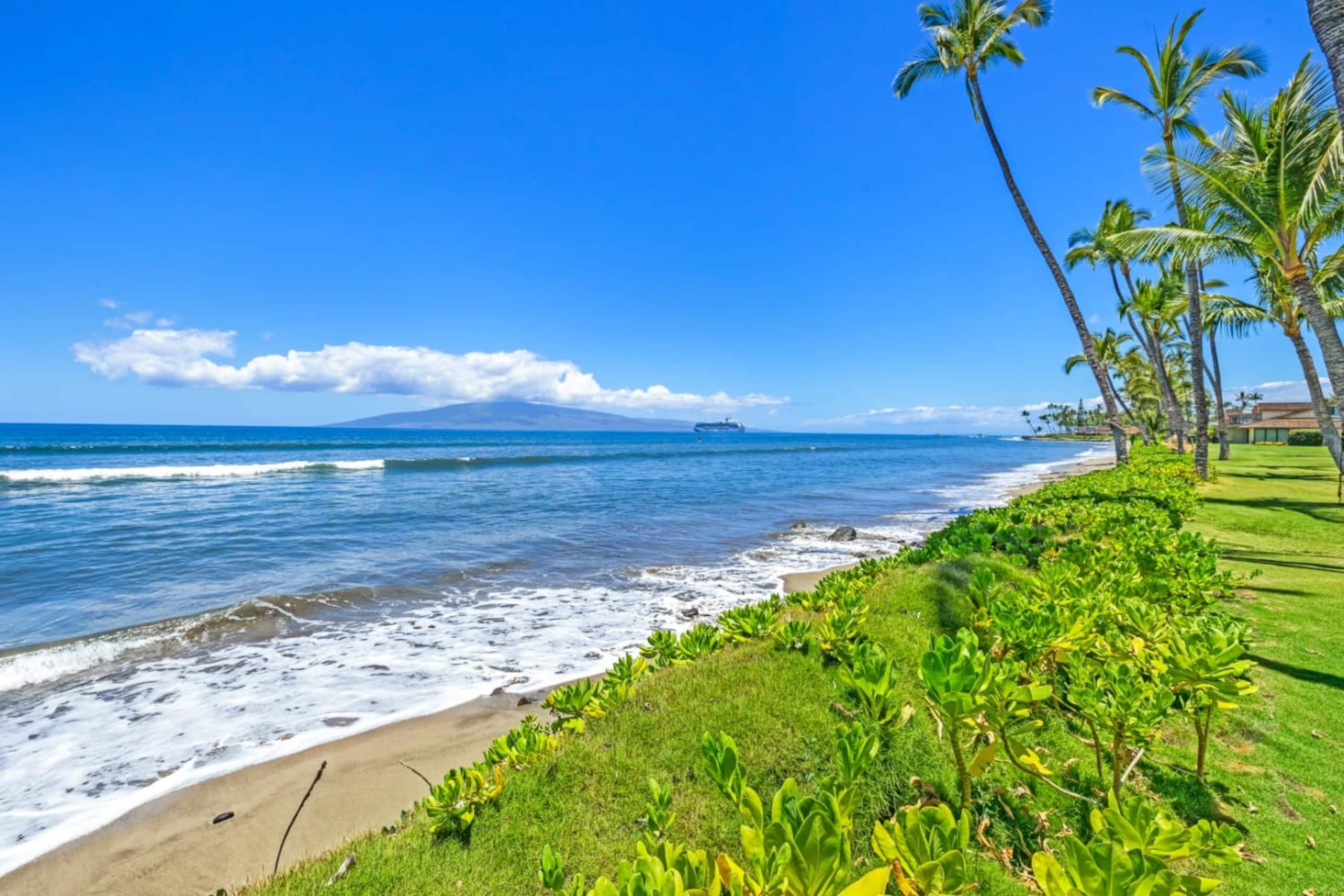 Townhouse in Lahaina · ★4.97 · 4 bedrooms · 5 beds · 3.5 baths - Image 49