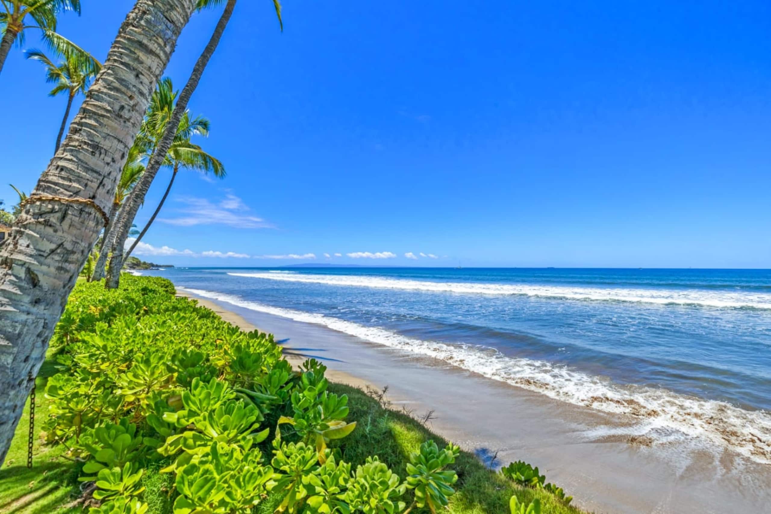 Townhouse in Lahaina · ★4.97 · 4 bedrooms · 5 beds · 3.5 baths - Image 50