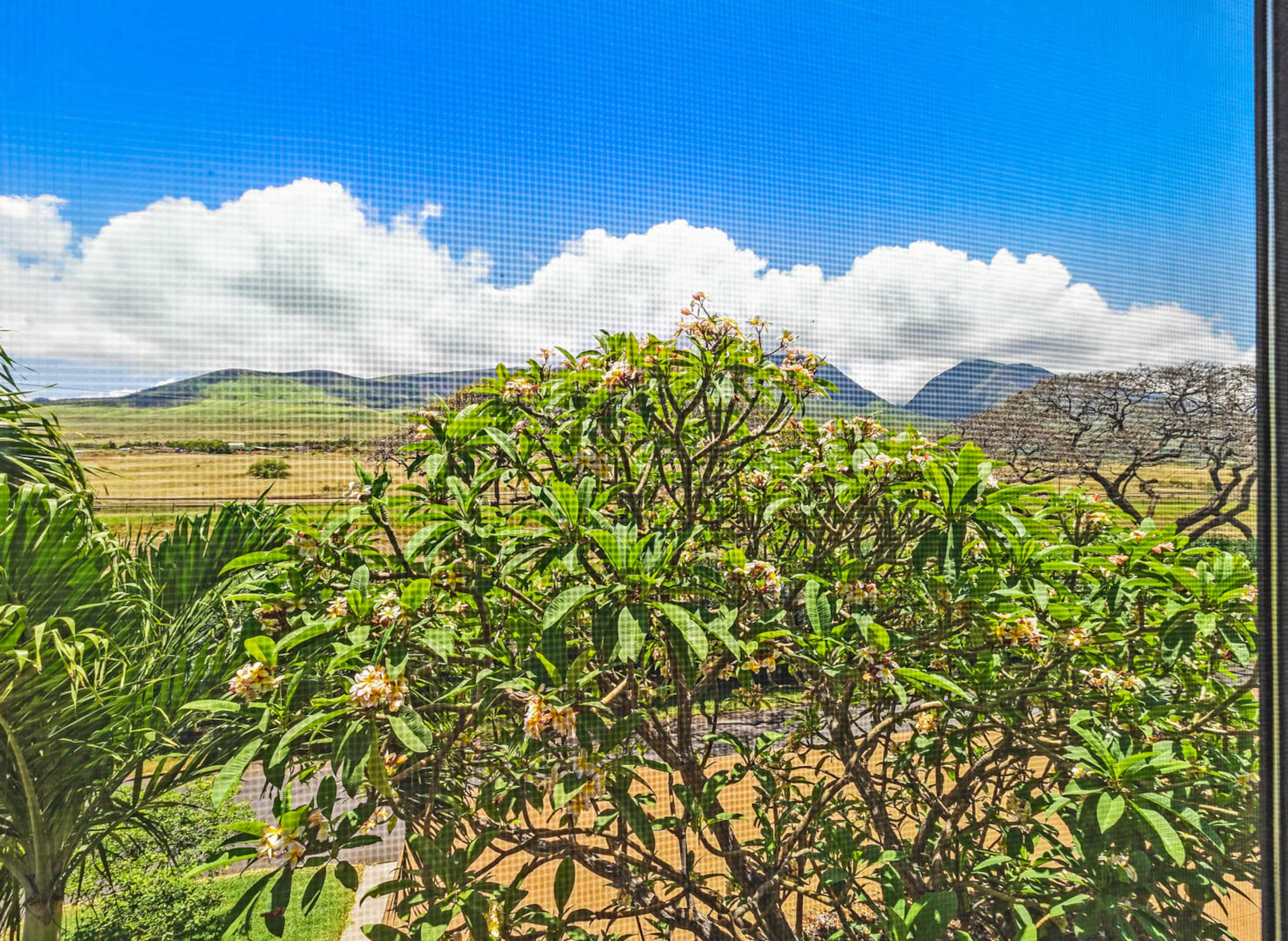Townhouse in Lahaina · ★4.97 · 4 bedrooms · 5 beds · 3.5 baths - Image 39