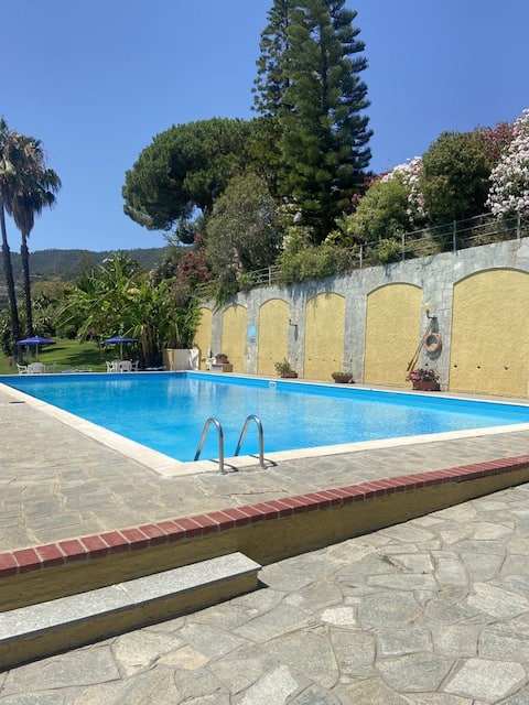 Proprietà Airbnb di successo: A Terrace in Ospedaletti by Wonderful Italy a Ospedaletti