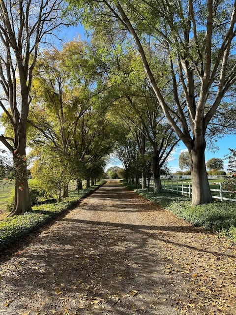 Magical Private Equestrian Ranch