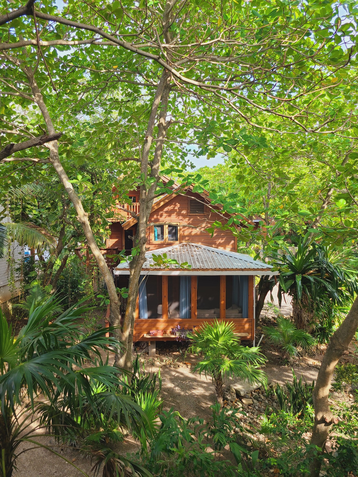 A charming cottage is framed by lush greenery, showcasing a screened porch that offers a connection to the outdoors. Trees and tropical plants surround the structure, enhancing the serene environment. The design reflects a harmonious blend with its natural surroundings.